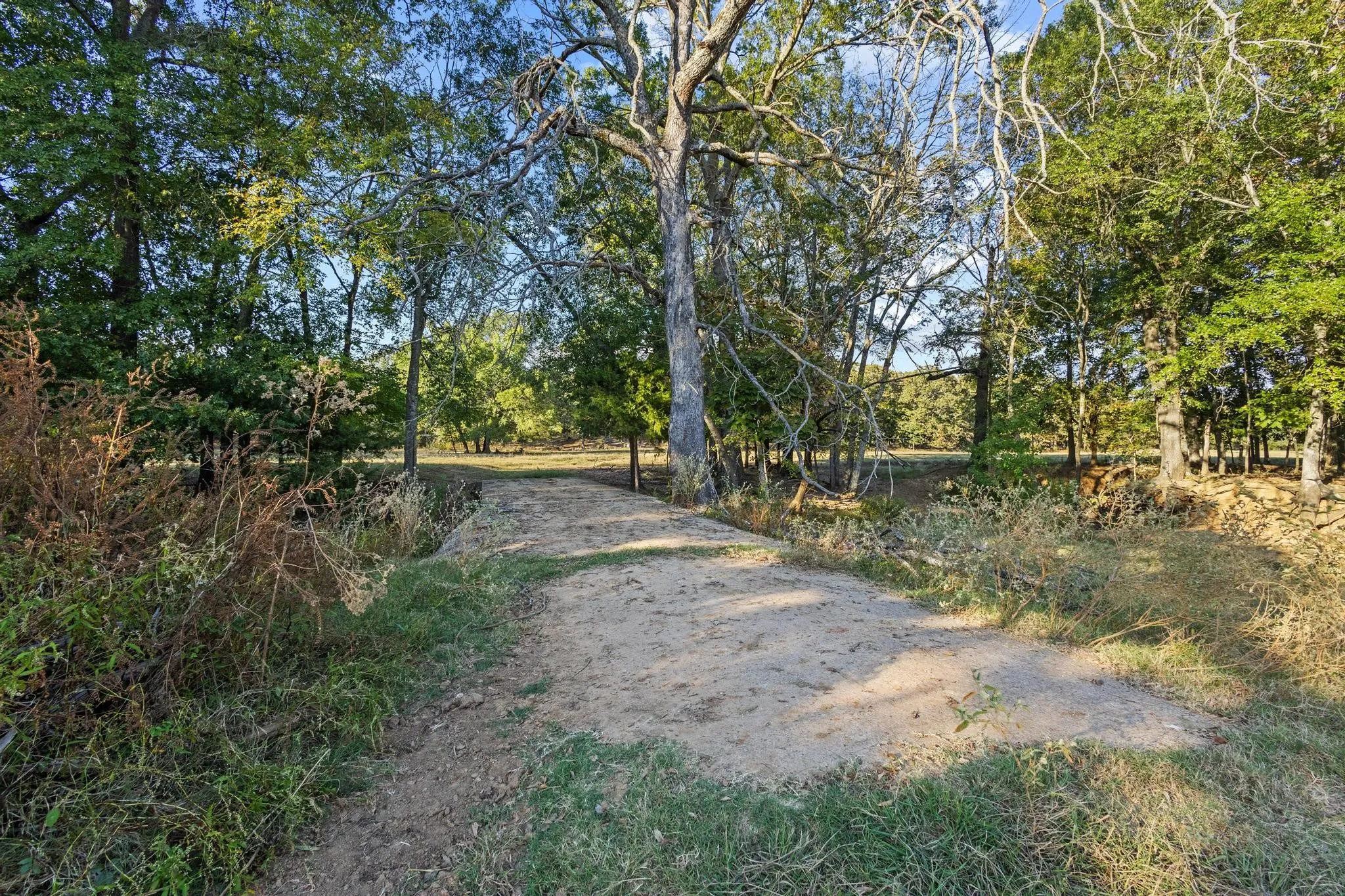 Ranch For Sale in Red River (TX) County , 312 County Road 2100, Detroit, Texas 75436, 0, 0, Garage spaces, 0 Sqft, built in 2012, Price $1,395,000, mls#21088590, Real Estate Agent in Detroit, Homes For Sale in Red River (TX) county, Homes For Sale in Detroit, Realtor in Detroit Texas, Real Estate Brokerage Independent Realty Texas, Luminita Cordes Realtor