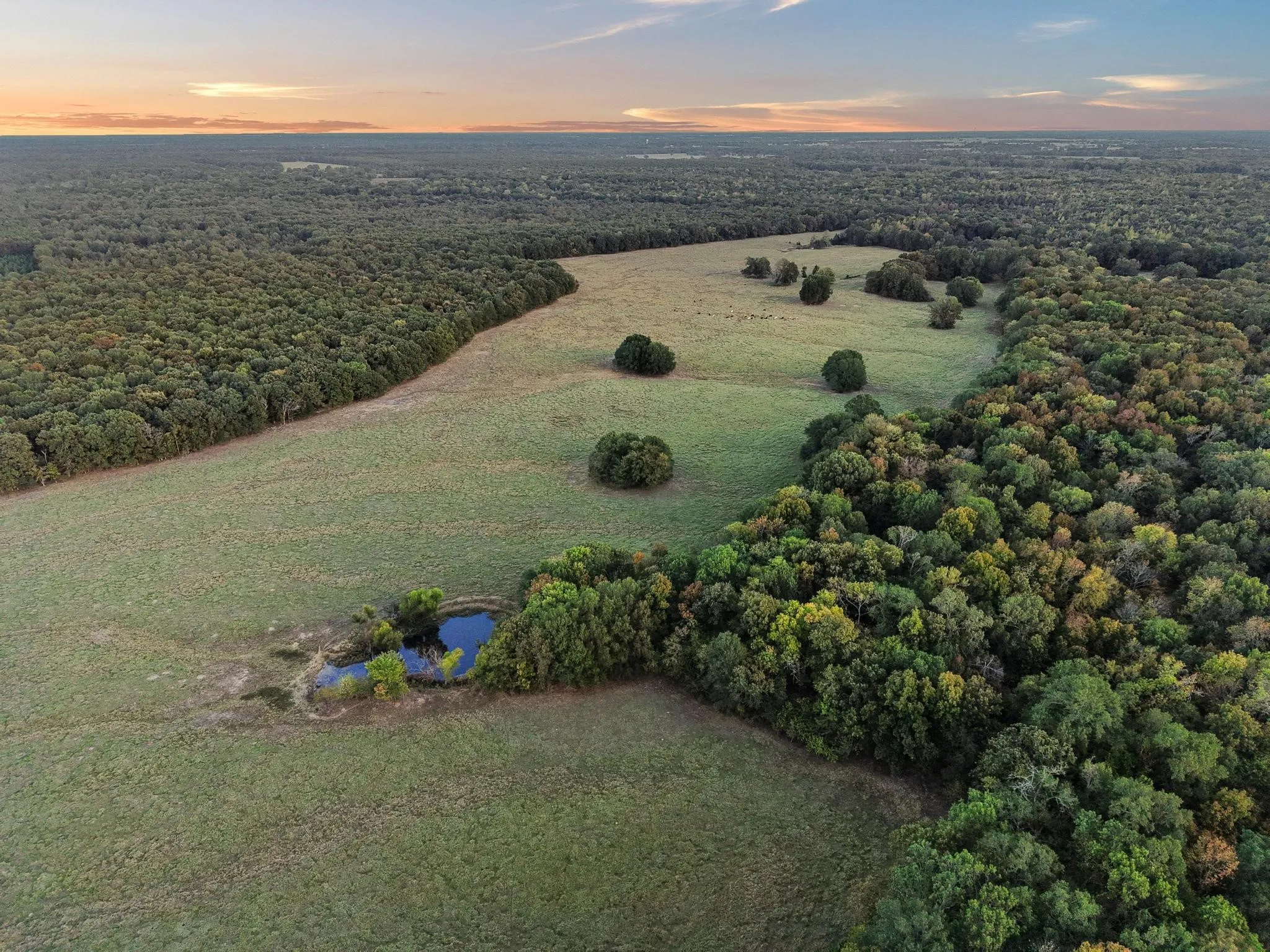 Ranch For Sale in Red River (TX) County , 312 County Road 2100, Detroit, Texas 75436, 0, 0, Garage spaces, 0 Sqft, built in 2012, Price $1,395,000, mls#21088590, Real Estate Agent in Detroit, Homes For Sale in Red River (TX) county, Homes For Sale in Detroit, Realtor in Detroit Texas, Real Estate Brokerage Independent Realty Texas, Luminita Cordes Realtor