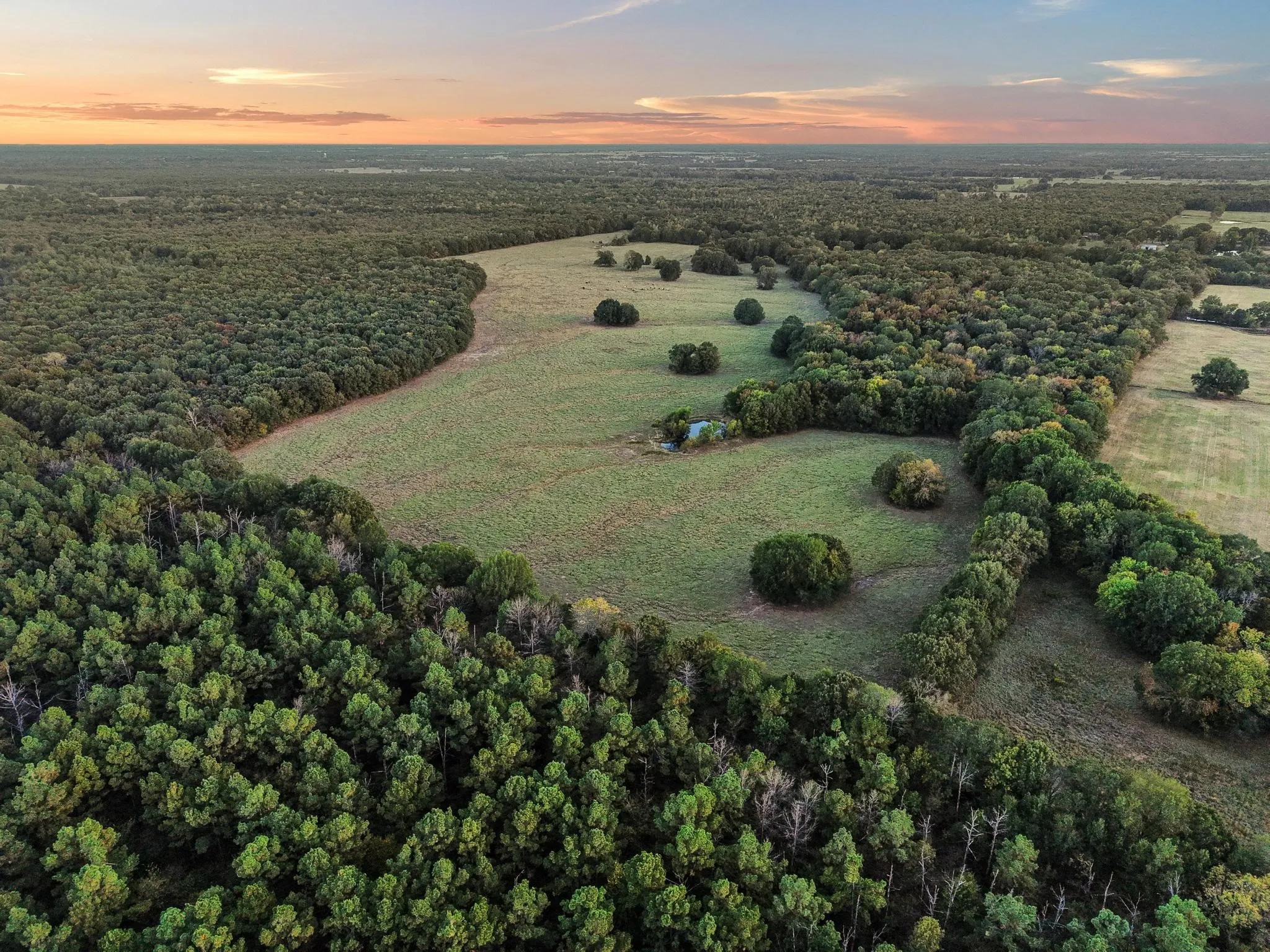 Ranch For Sale in Red River (TX) County , 312 County Road 2100, Detroit, Texas 75436, 0, 0, Garage spaces, 0 Sqft, built in 2012, Price $1,395,000, mls#21088590, Real Estate Agent in Detroit, Homes For Sale in Red River (TX) county, Homes For Sale in Detroit, Realtor in Detroit Texas, Real Estate Brokerage Independent Realty Texas, Luminita Cordes Realtor
