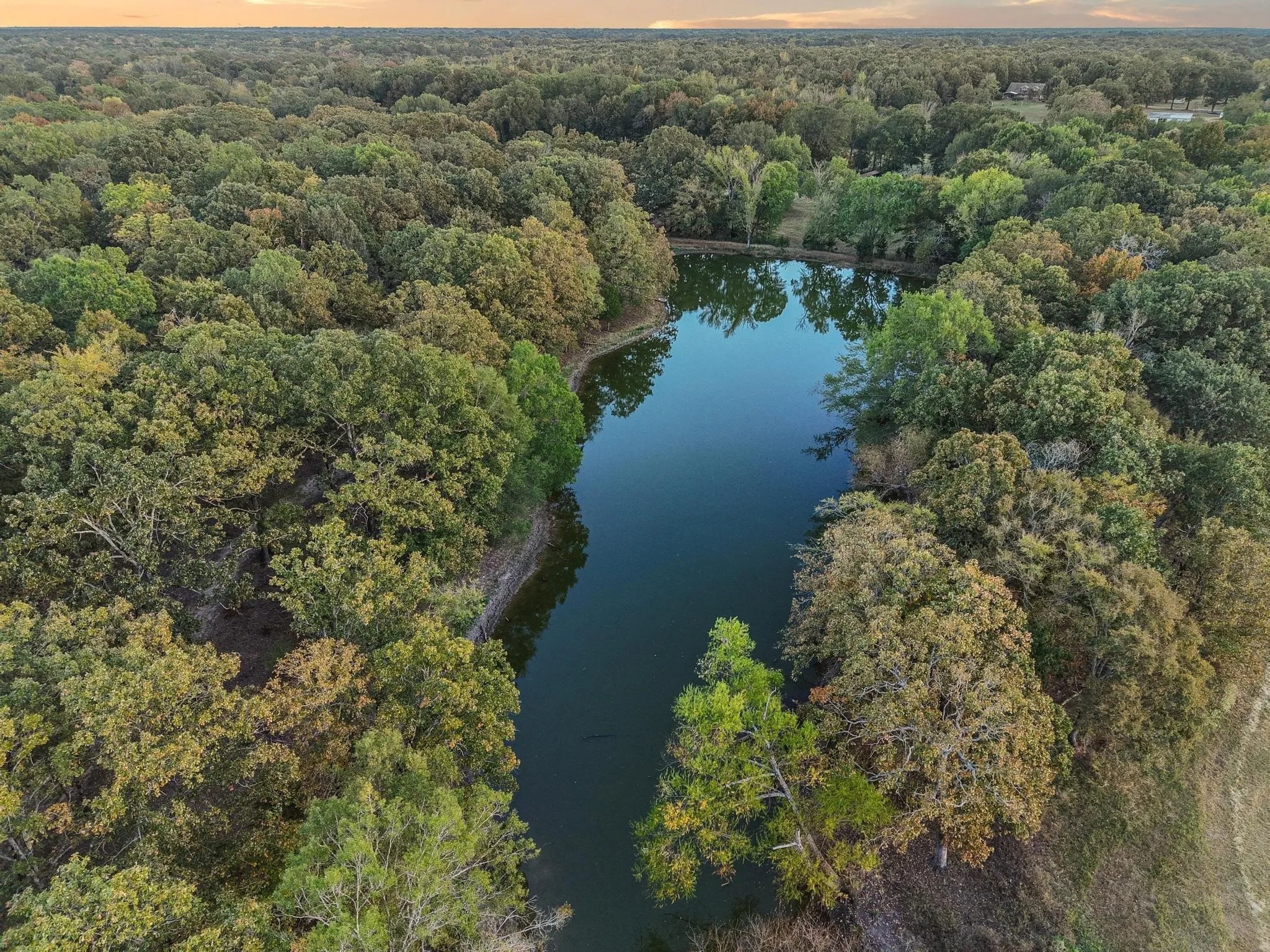 Ranch For Sale in Red River (TX) County , 312 County Road 2100, Detroit, Texas 75436, 0, 0, Garage spaces, 0 Sqft, built in 2012, Price $1,395,000, mls#21088590, Real Estate Agent in Detroit, Homes For Sale in Red River (TX) county, Homes For Sale in Detroit, Realtor in Detroit Texas, Real Estate Brokerage Independent Realty Texas, Luminita Cordes Realtor