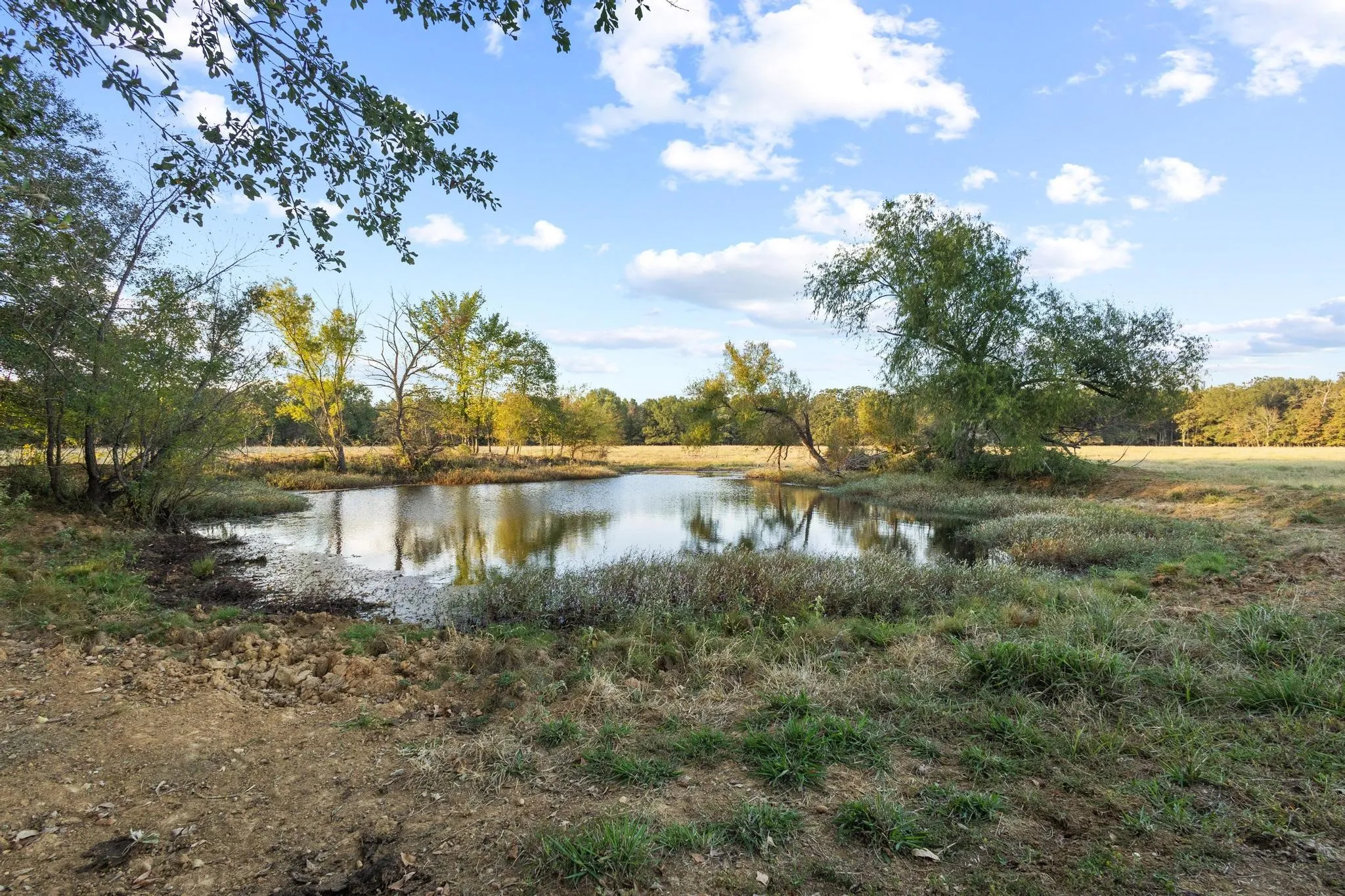 Ranch For Sale in Red River (TX) County , 312 County Road 2100, Detroit, Texas 75436, 0, 0, Garage spaces, 0 Sqft, built in 2012, Price $1,395,000, mls#21088590, Real Estate Agent in Detroit, Homes For Sale in Red River (TX) county, Homes For Sale in Detroit, Realtor in Detroit Texas, Real Estate Brokerage Independent Realty Texas, Luminita Cordes Realtor
