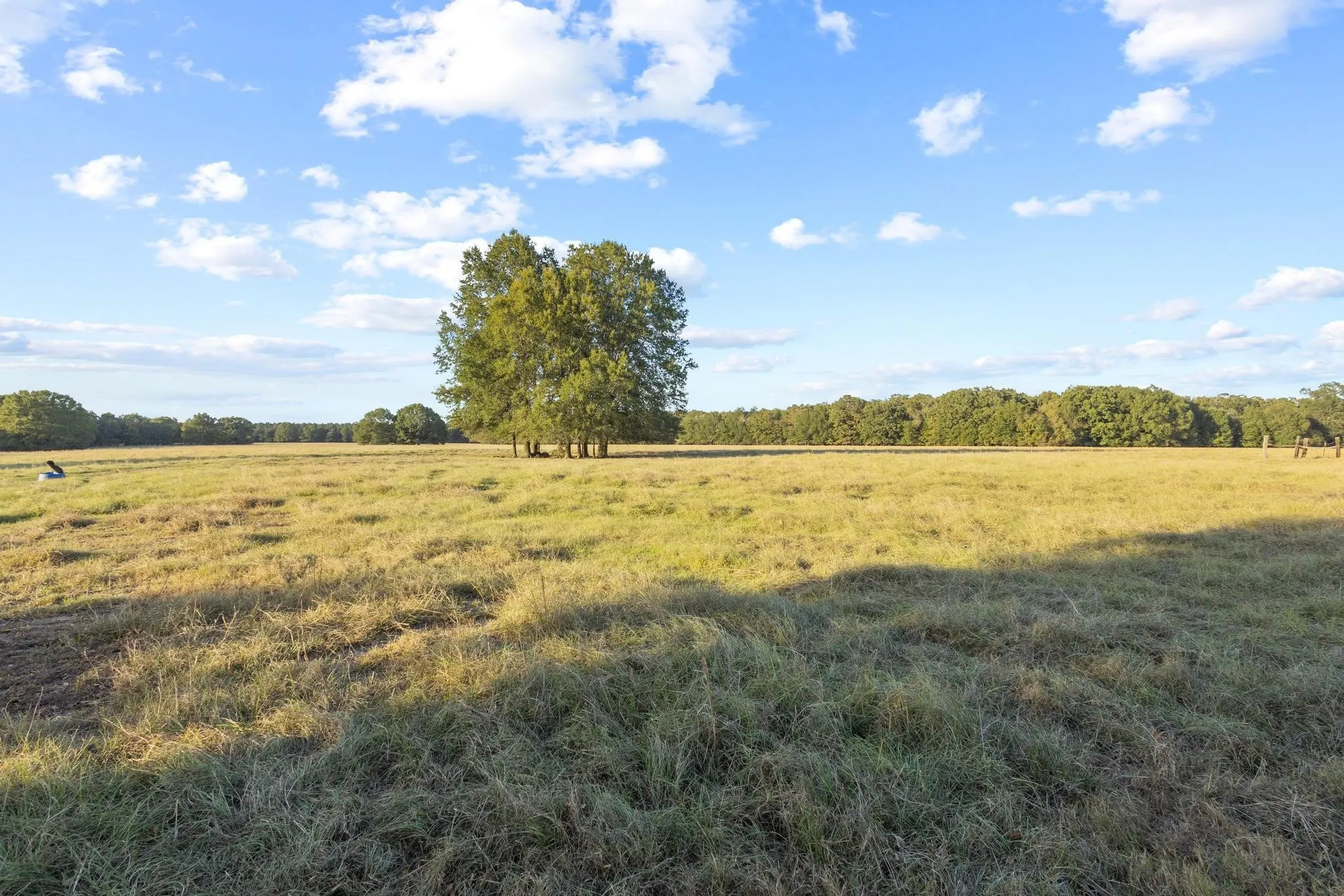 Ranch For Sale in Red River (TX) County , 312 County Road 2100, Detroit, Texas 75436, 0, 0, Garage spaces, 0 Sqft, built in 2012, Price $1,395,000, mls#21088590, Real Estate Agent in Detroit, Homes For Sale in Red River (TX) county, Homes For Sale in Detroit, Realtor in Detroit Texas, Real Estate Brokerage Independent Realty Texas, Luminita Cordes Realtor