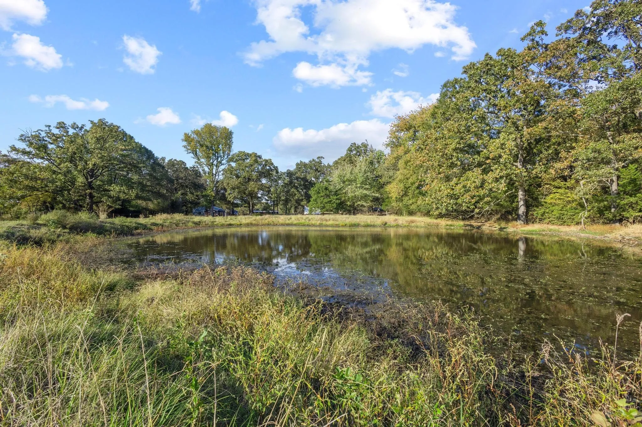 Ranch For Sale in Red River (TX) County , 312 County Road 2100, Detroit, Texas 75436, 0, 0, Garage spaces, 0 Sqft, built in 2012, Price $1,395,000, mls#21088590, Real Estate Agent in Detroit, Homes For Sale in Red River (TX) county, Homes For Sale in Detroit, Realtor in Detroit Texas, Real Estate Brokerage Independent Realty Texas, Luminita Cordes Realtor