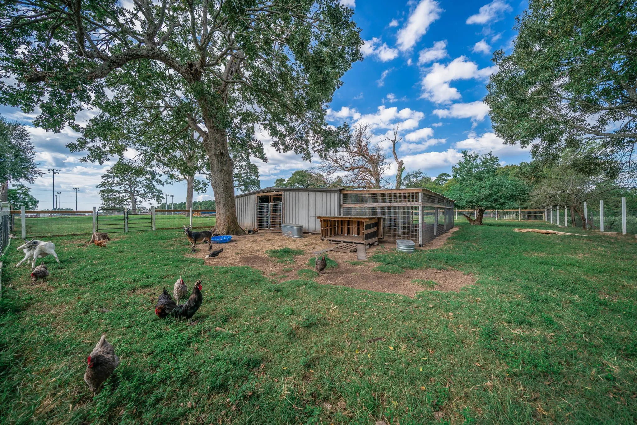 View of yard featuring exterior structure and an outdoor structure