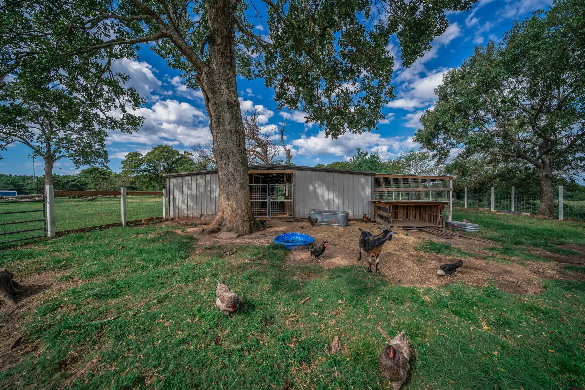 View of yard with an outbuilding