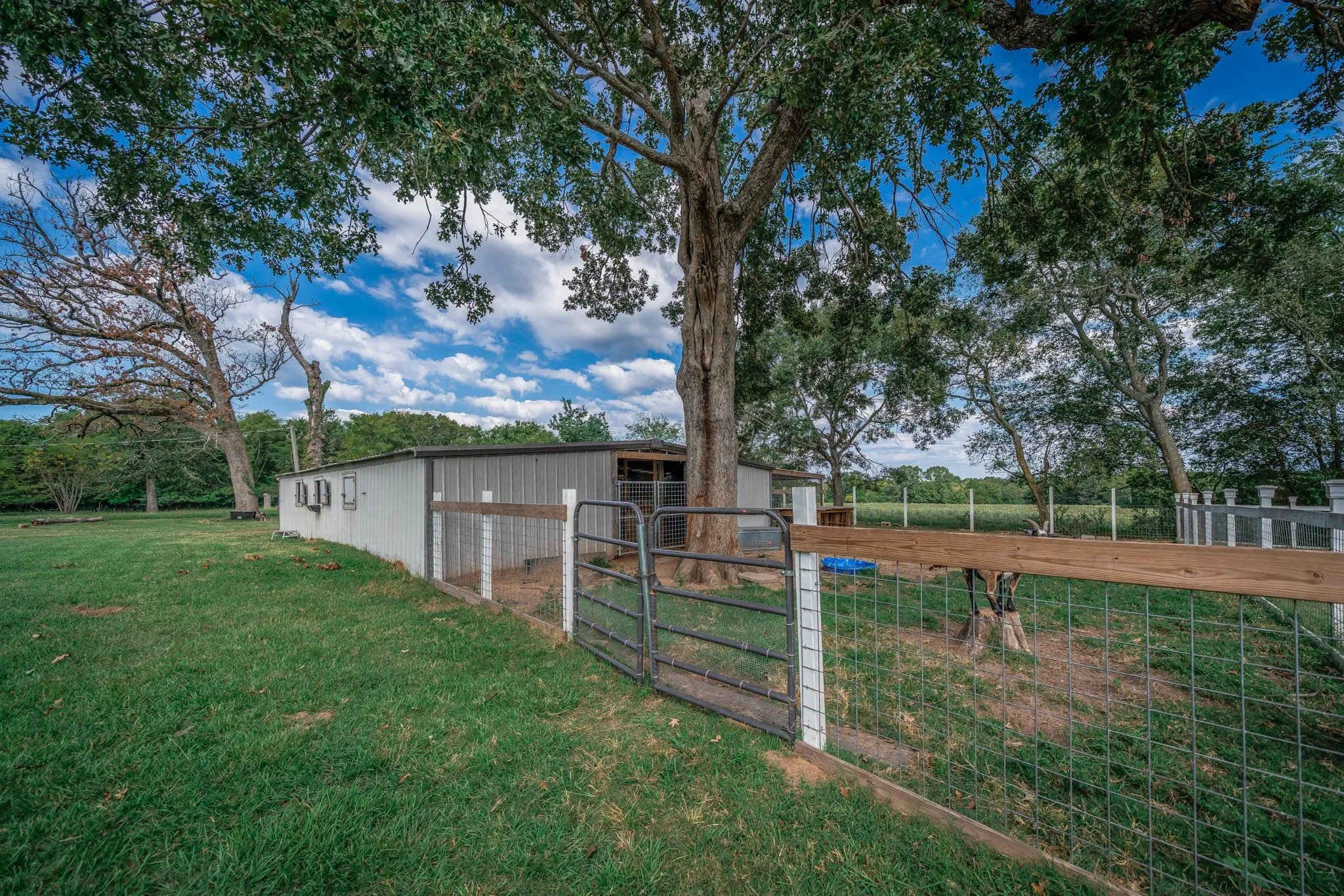 Single Family Residence For Sale in Cherokee County , 1901 Byrd Rd., Jacksonville, Texas 75766, 4 Bedroom, 3 Bathroom, Garage spaces, 2,857 Sqft, built in 1920, Preowned, mls#21090271, Real Estate Agent in Jacksonville, Homes For Sale in Cherokee county, Homes For Sale in Jacksonville, Realtor in Jacksonville Texas, Real Estate Brokerage Independent Realty Texas, Luminita Cordes Realtor