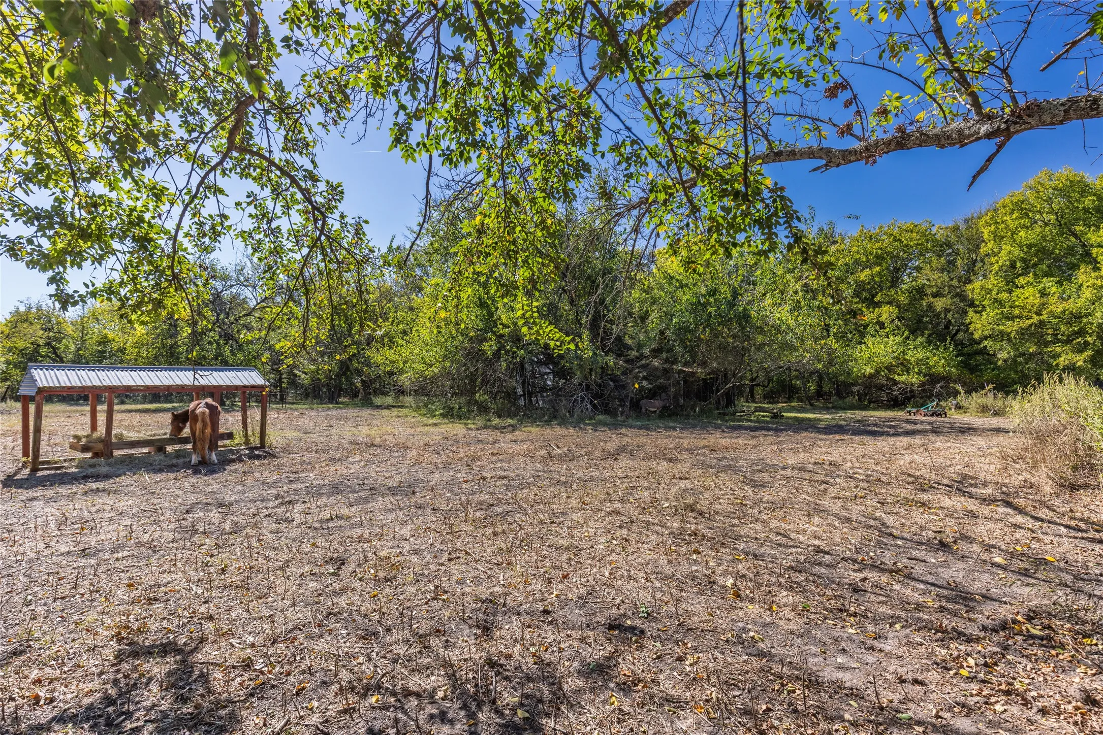 Single Family Residence For Sale in Fannin County , 962 Hwy 50, Ladonia, Texas 75449, 2 Bedroom, 2 Bathroom, 2 Garage spaces, 1,460 Sqft, built in 1949, mls#21093565, Real Estate Agent in Ladonia, Homes For Sale in Fannin county, Homes For Sale in Ladonia, Realtor in Ladonia Texas, Real Estate Brokerage Independent Realty Texas, Luminita Cordes Realtor
