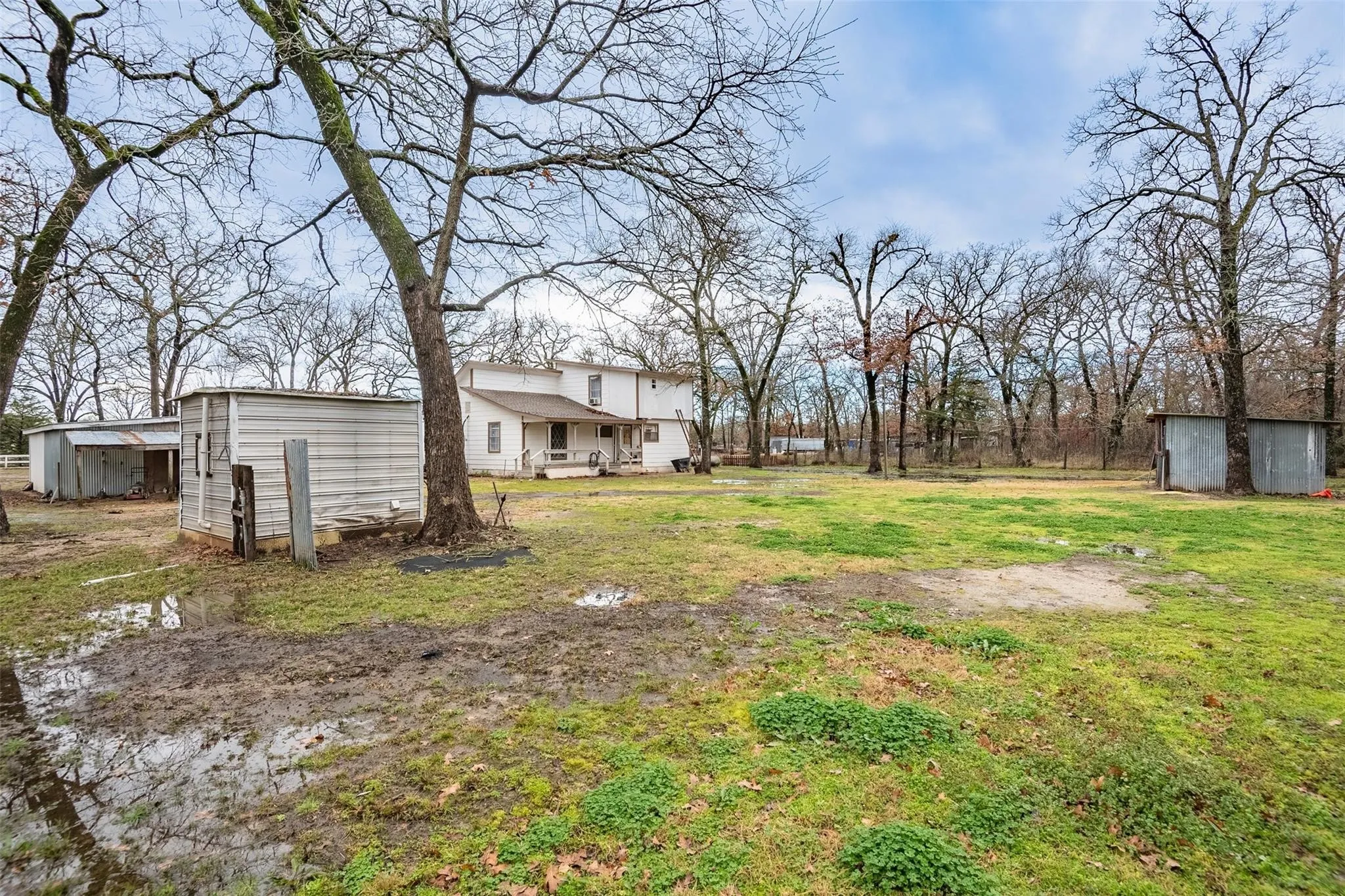 View of green lawn with a storage shed