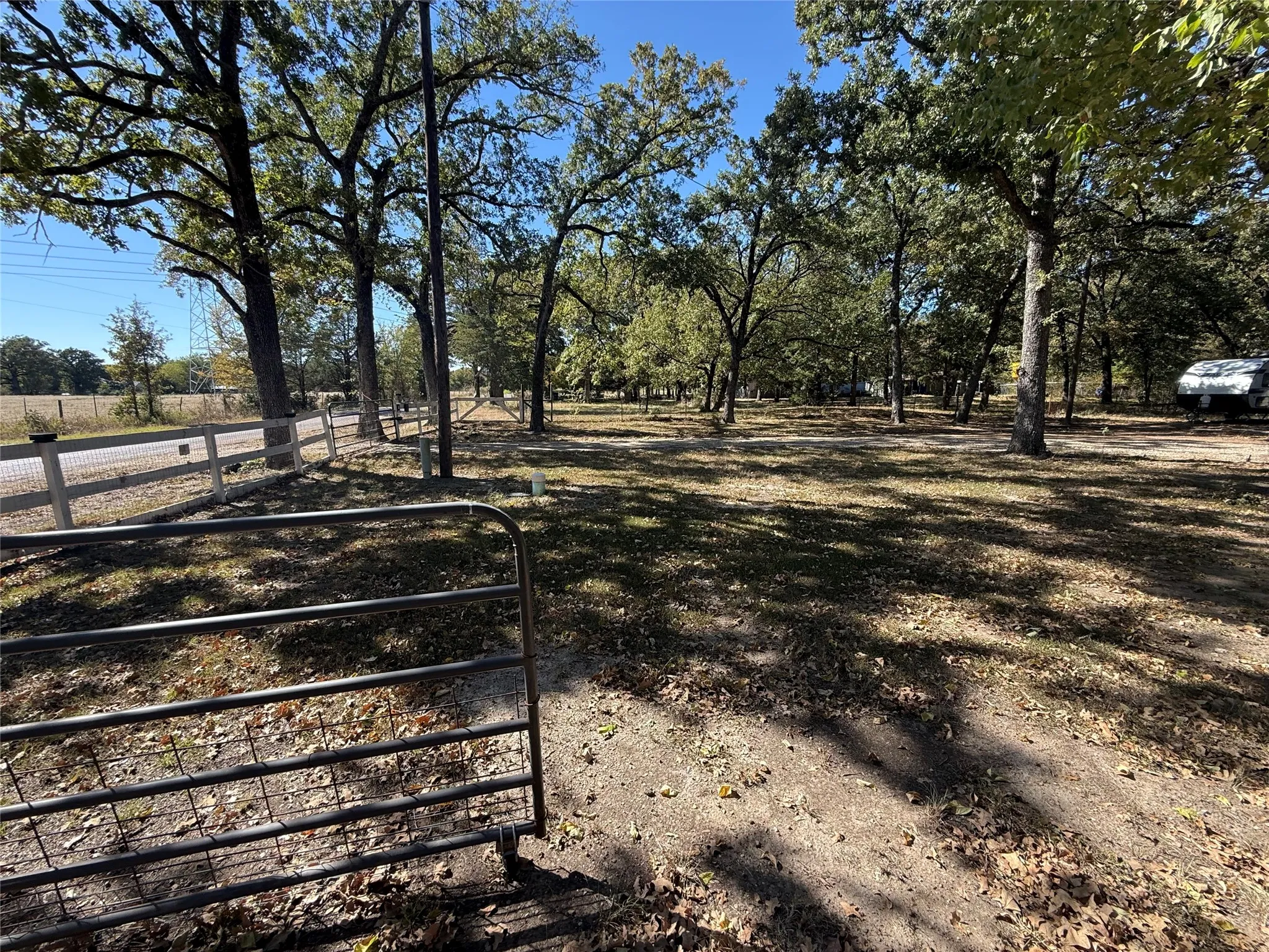 View of yard featuring view of wooded area
