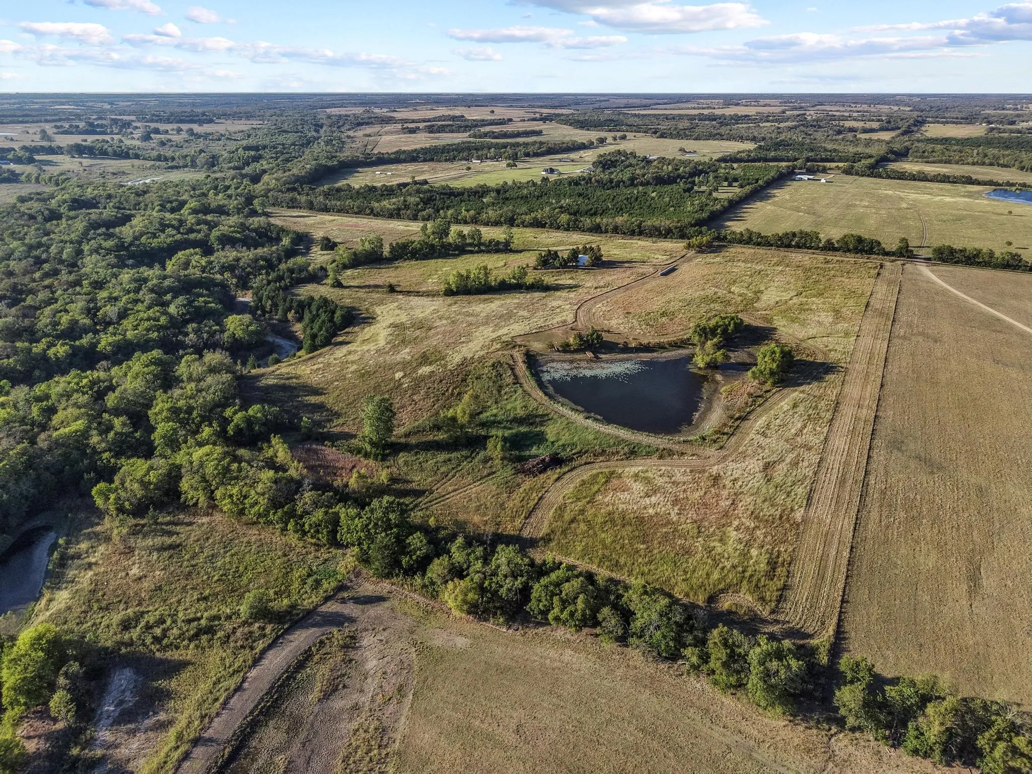 Aerial view towards pond