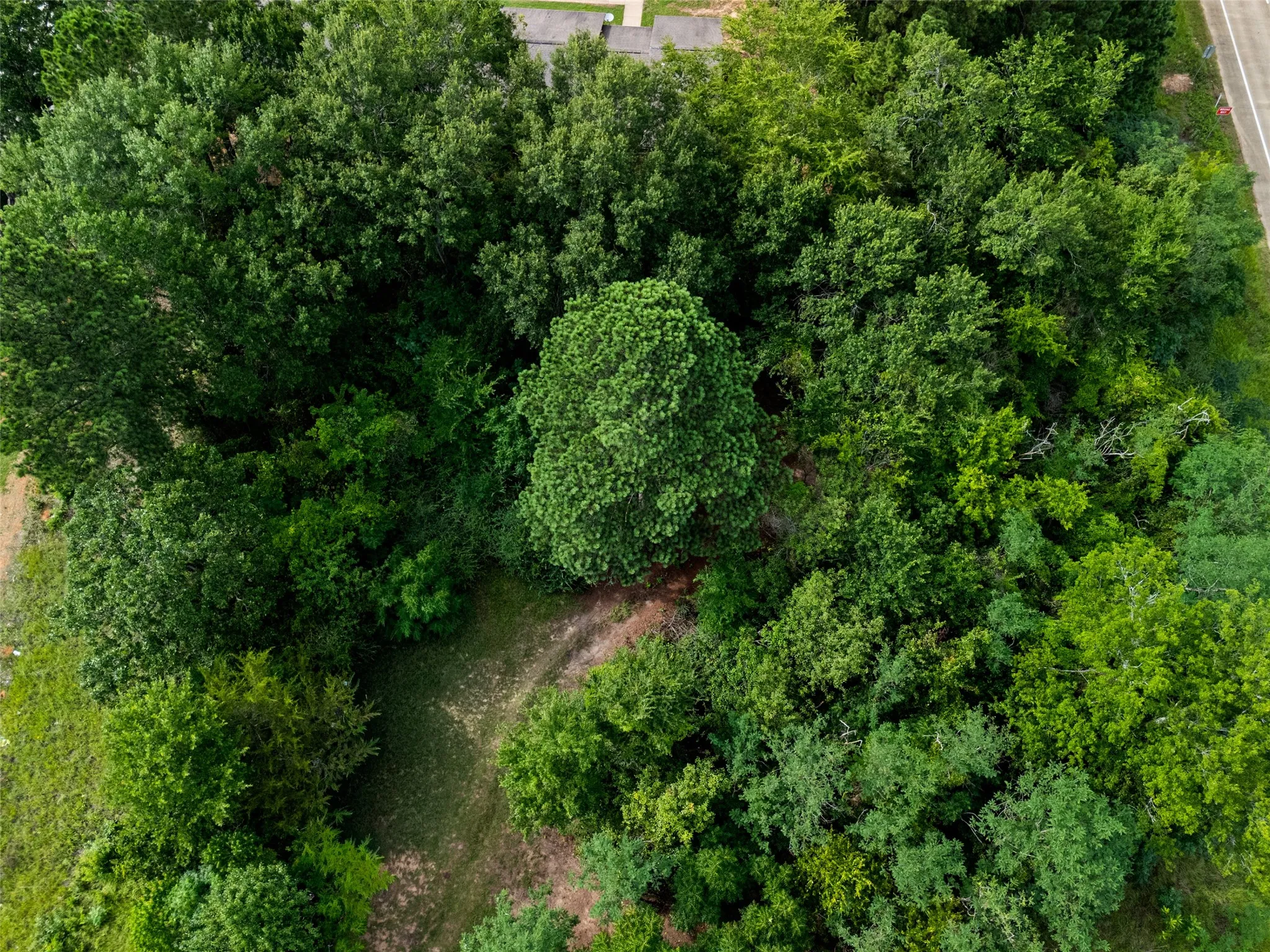 Unimproved Land For Sale in Gregg County , 3907 Stone Road, Kilgore, Texas 75662, 0, 0, Garage spaces, 0 Sqft, built in 0, mls#21095267, Real Estate Agent in Kilgore, Homes For Sale in Gregg county, Homes For Sale in Kilgore, Realtor in Kilgore Texas, Real Estate Brokerage Independent Realty Texas, Luminita Cordes Realtor