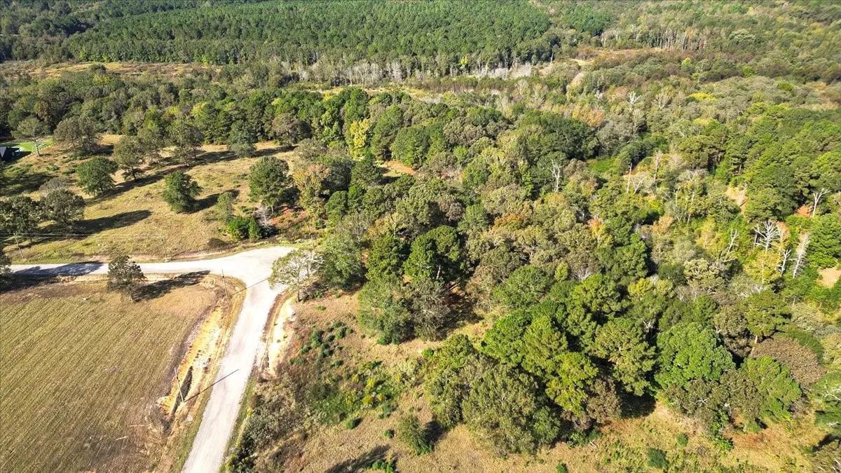 Aerial view of property's location with a heavily wooded area