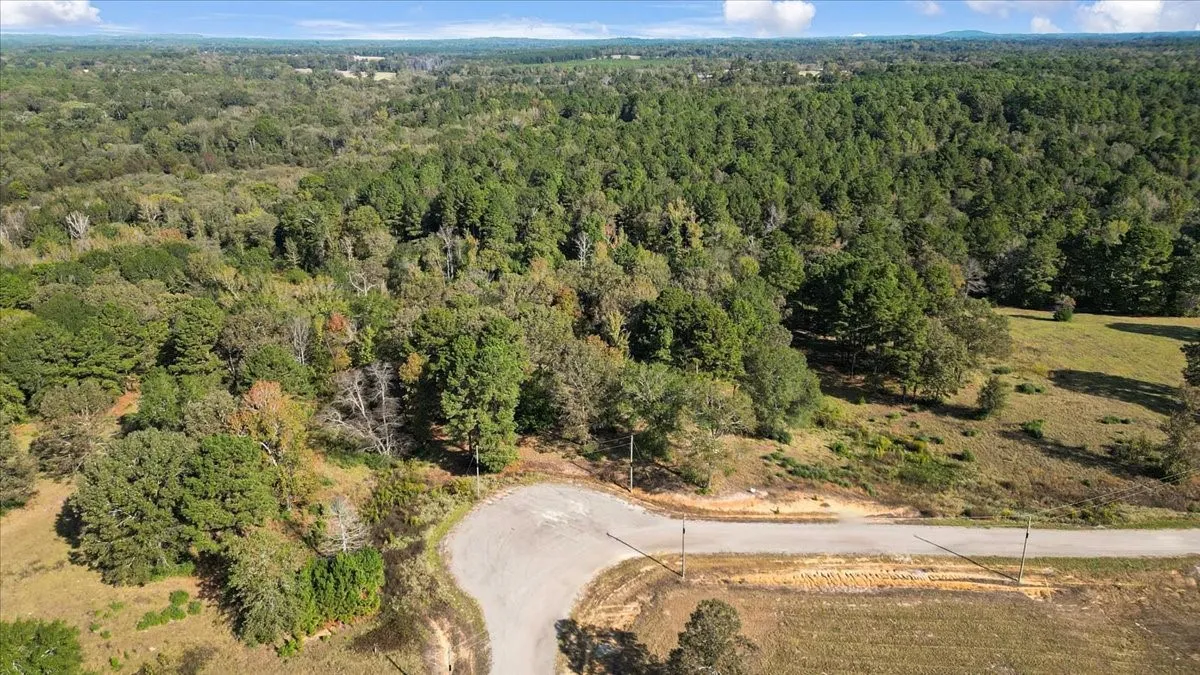 Aerial view of property's location