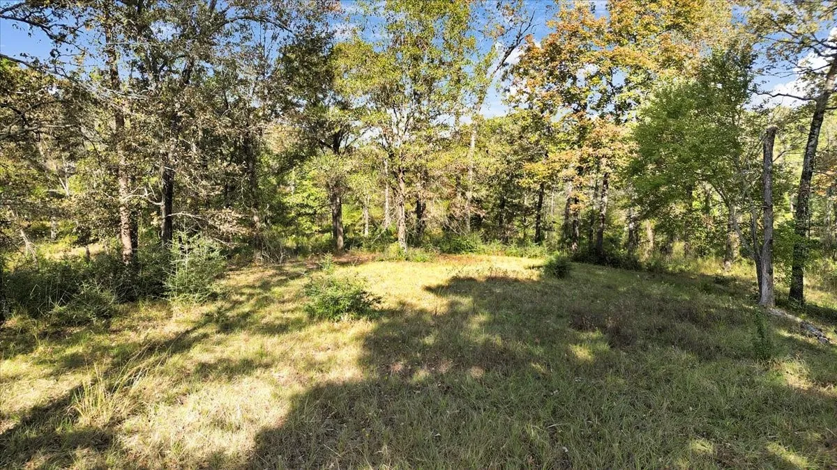 View of yard with a forest view