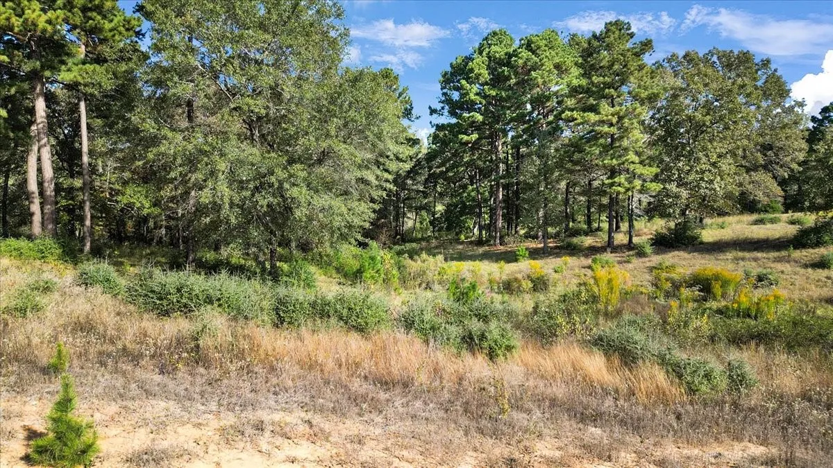 View of undeveloped land
