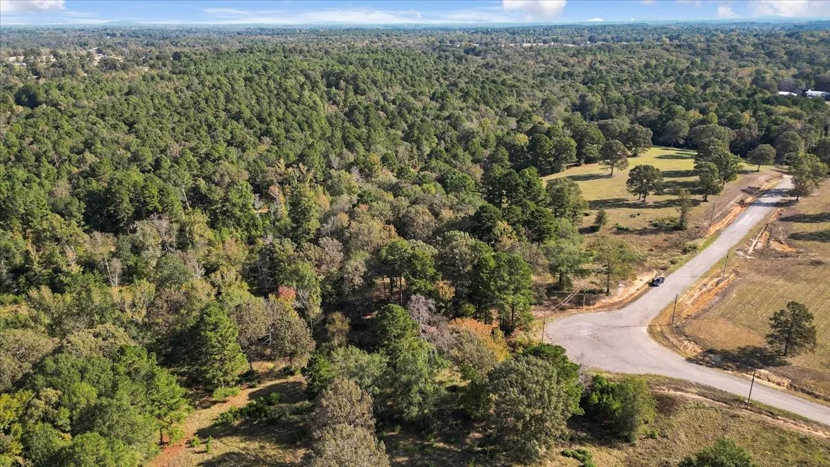 Aerial view of property's location