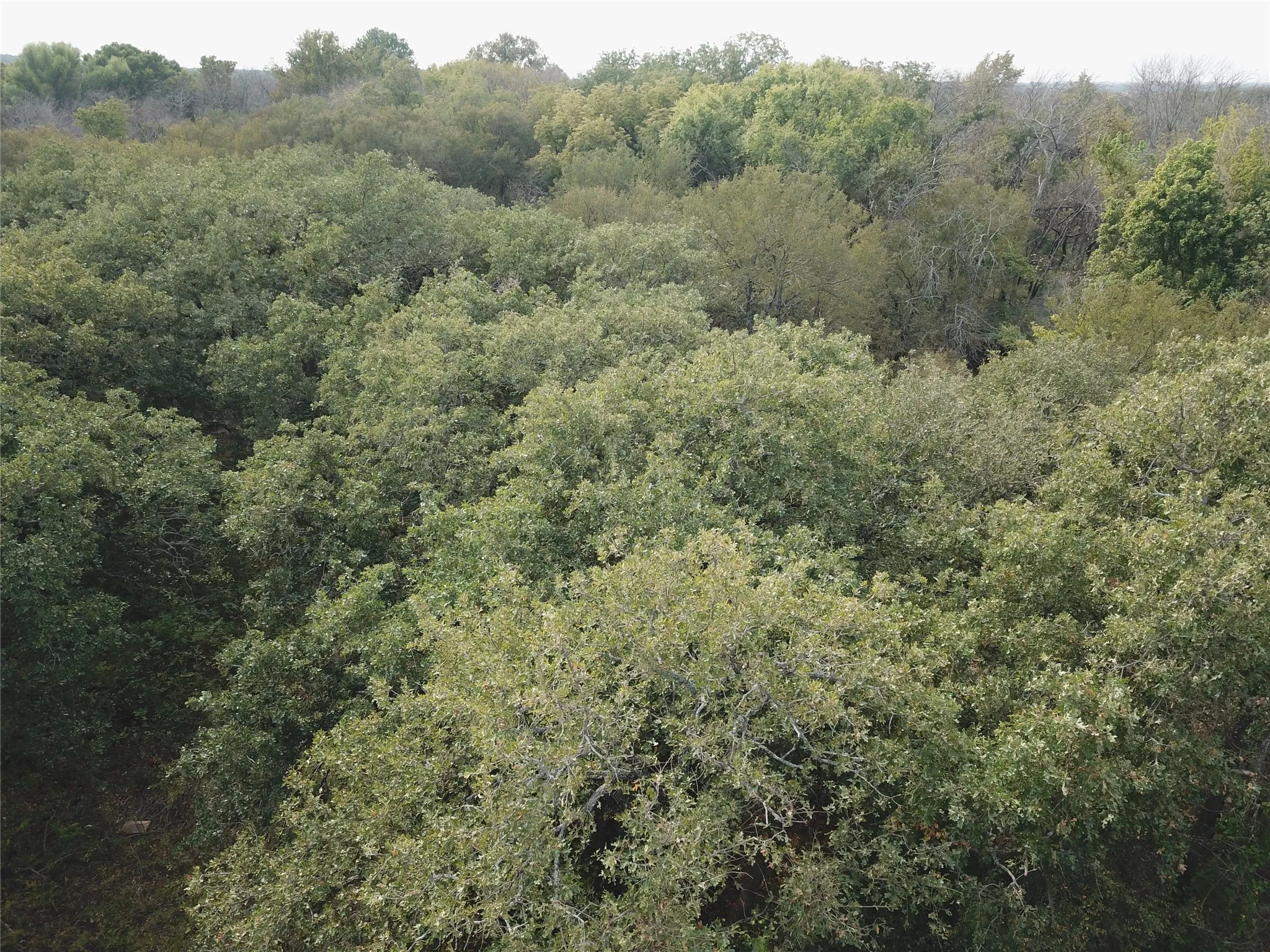 View of property location featuring a heavily wooded area