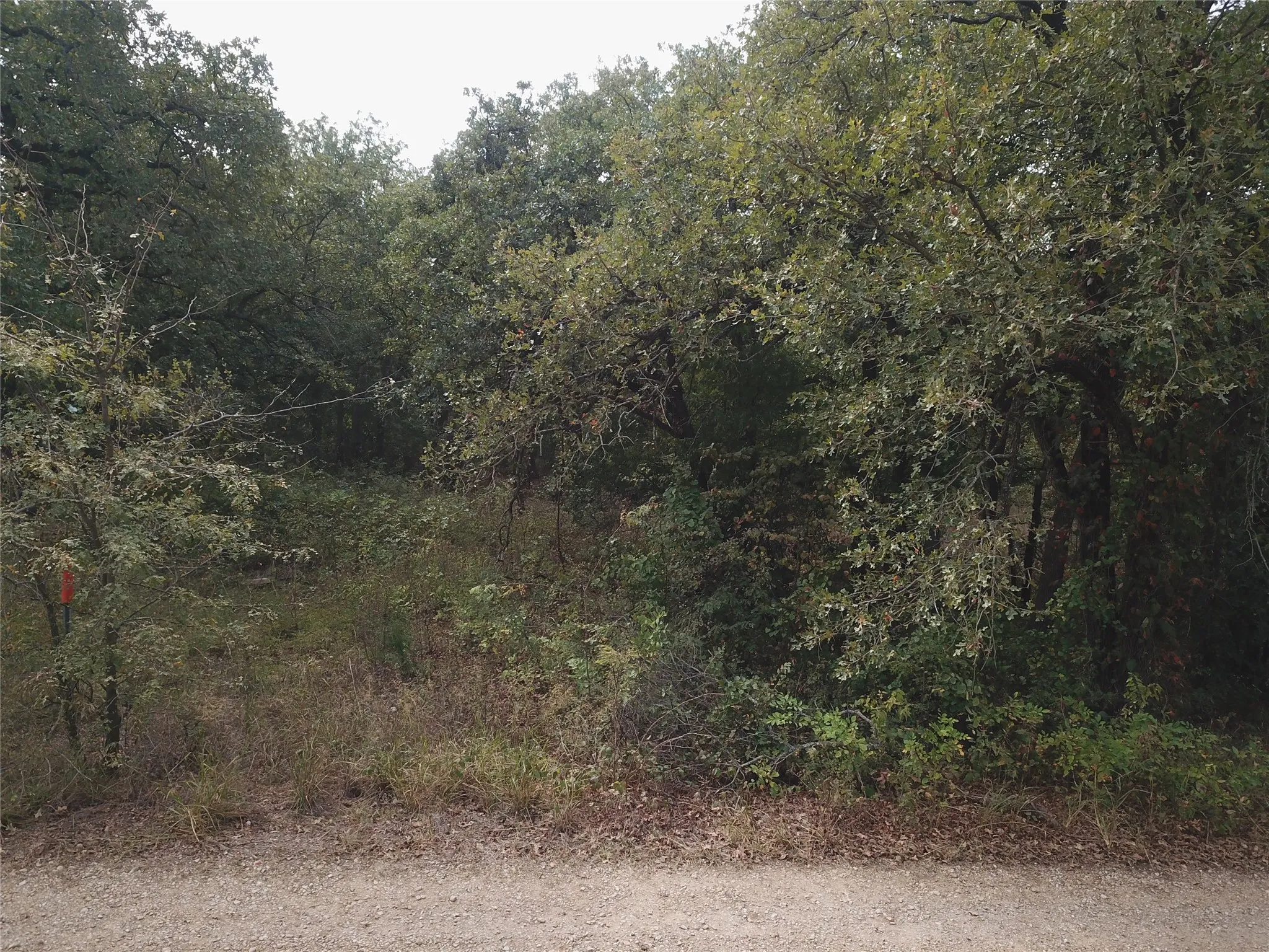 View of nature