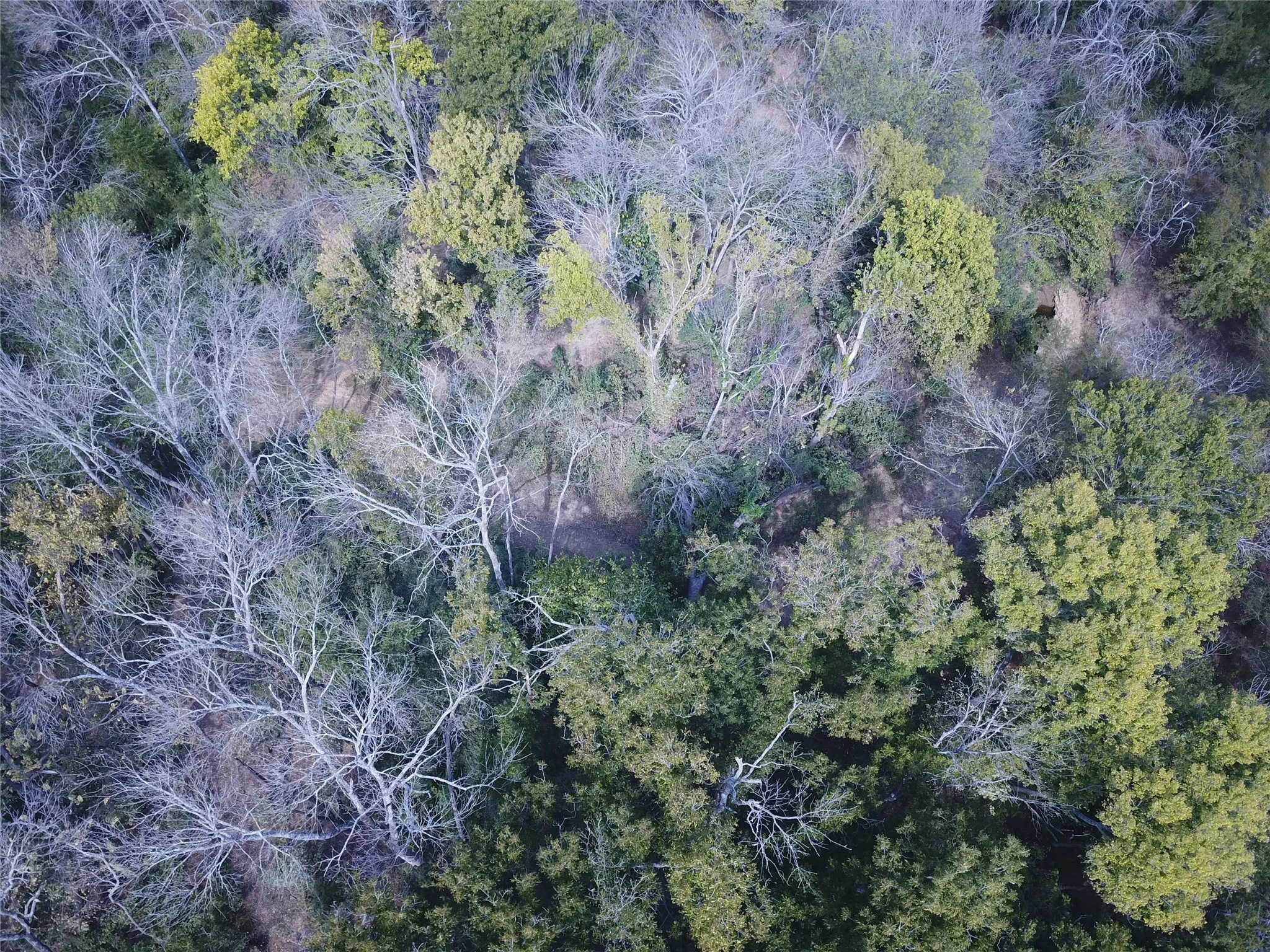 View of property location featuring a forest