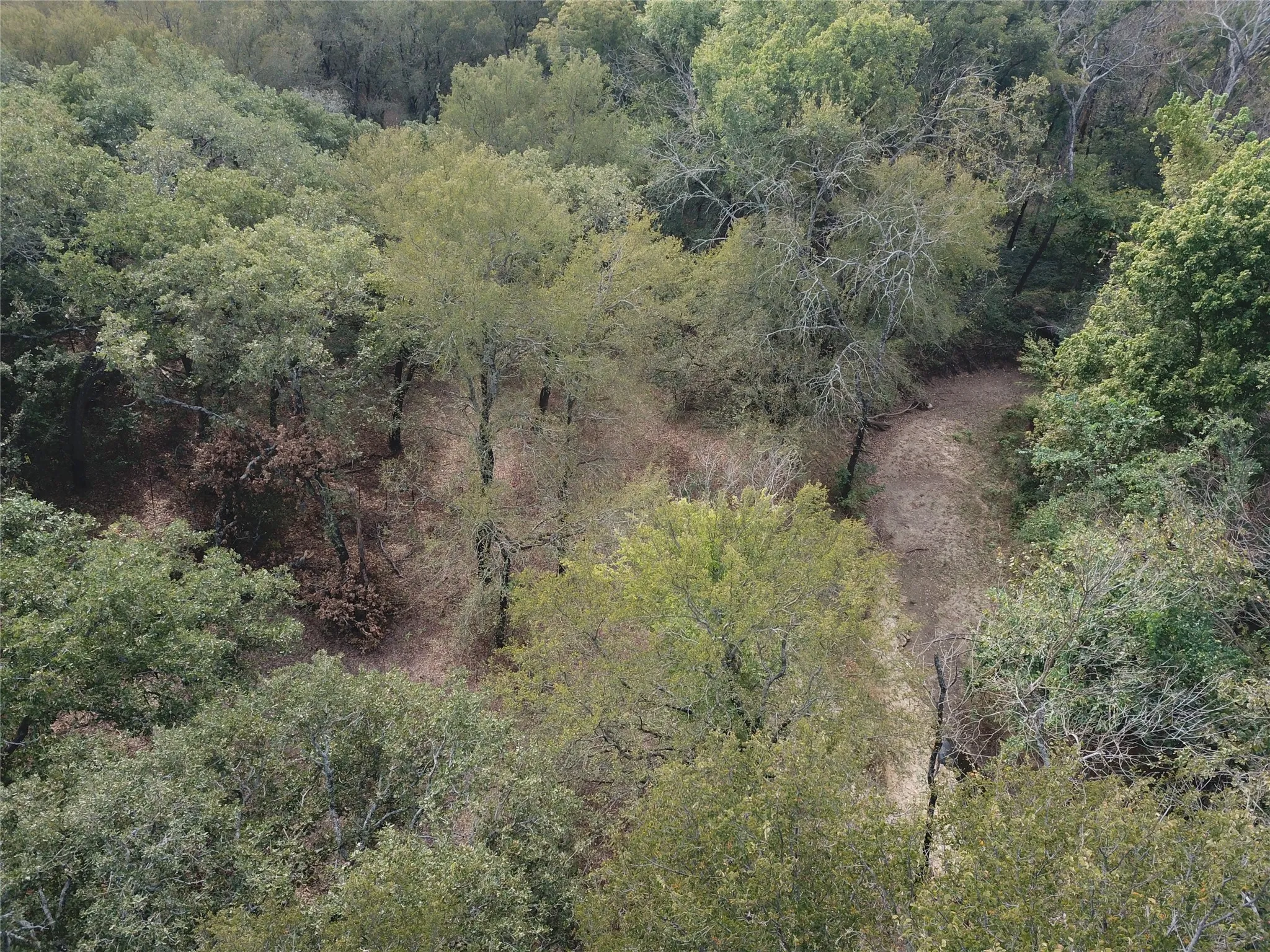 Aerial overview of property's location featuring a forest