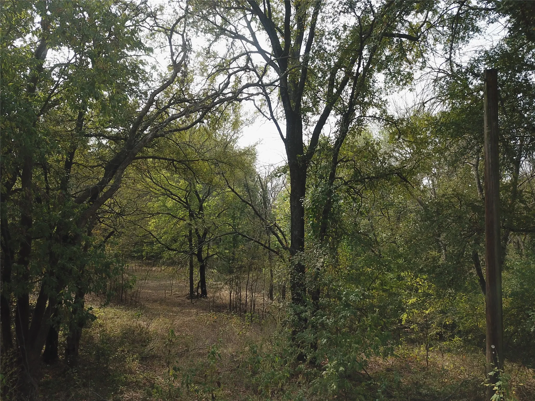 View of wooded area