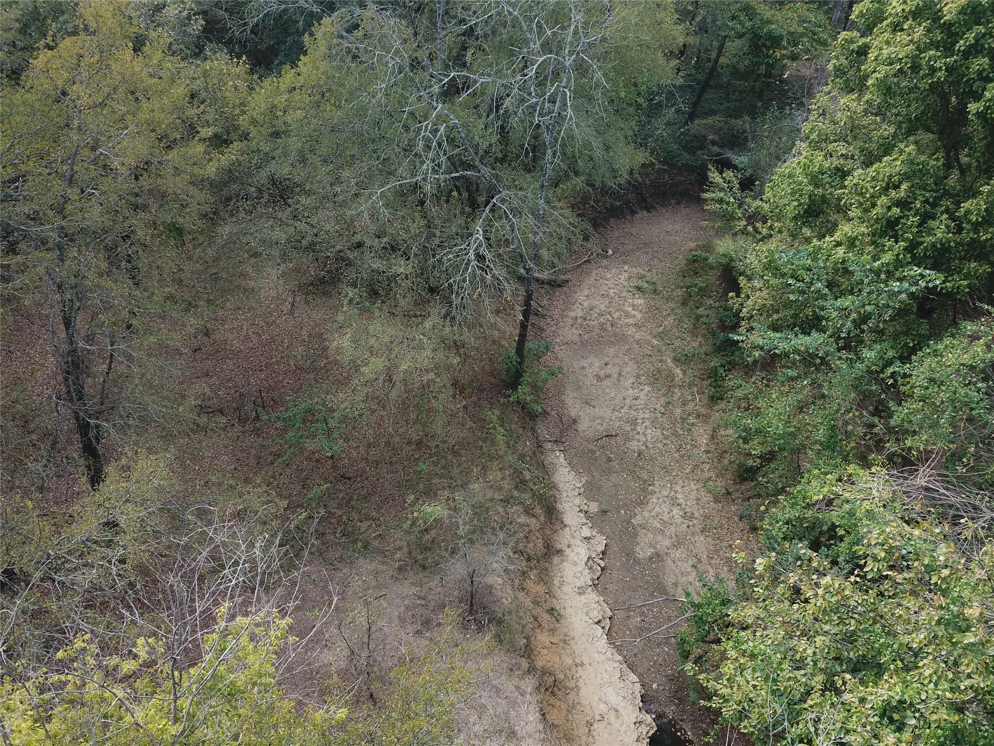 View of undeveloped land