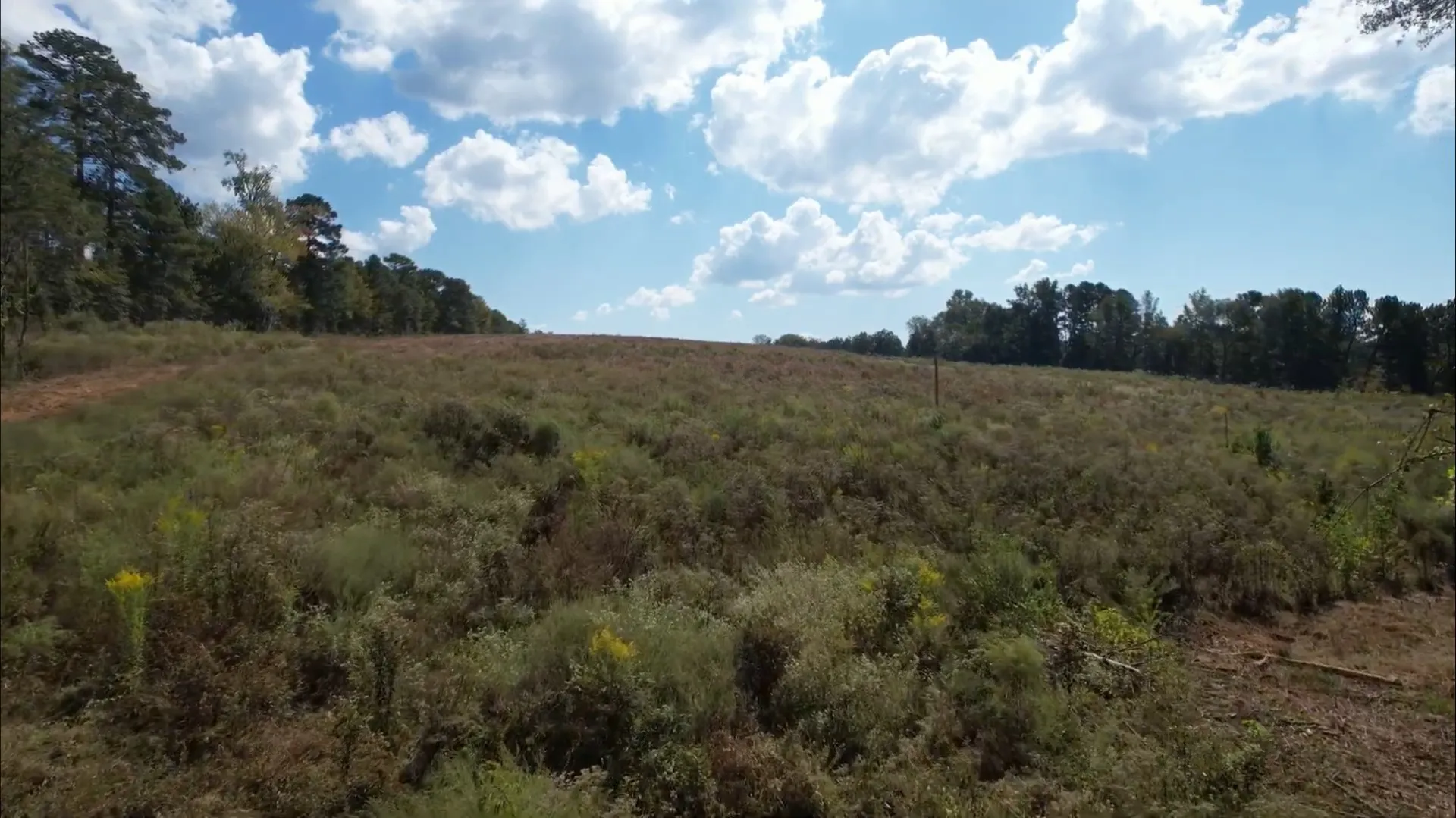Unimproved Land For Sale in Rusk County , TBD-C County Road 4172D, Laneville, Texas 75667, 0, 0, Garage spaces, 0 Sqft, built in 0, Price $69,850, mls#21095891, Real Estate Agent in Laneville, Homes For Sale in Rusk county, Homes For Sale in Laneville, Realtor in Laneville Texas, Real Estate Brokerage Independent Realty Texas, Luminita Cordes Realtor
