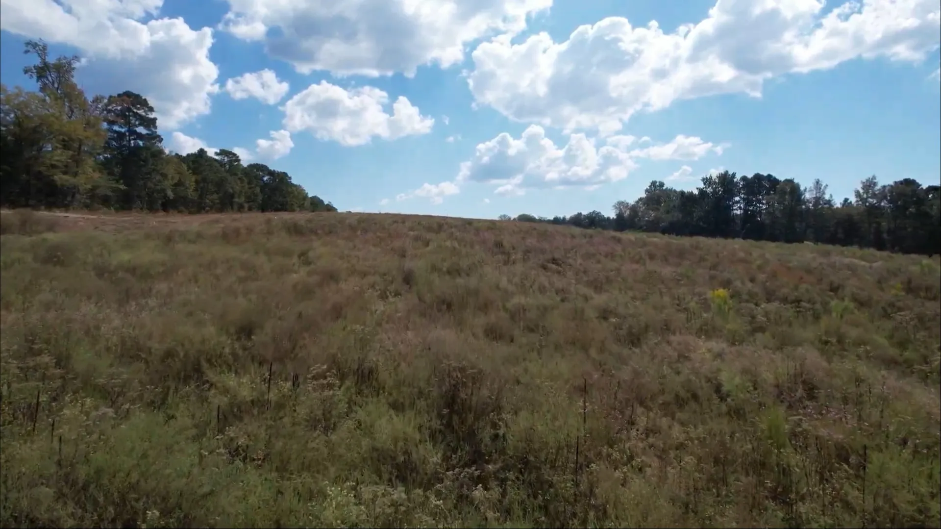 Unimproved Land For Sale in Rusk County , TBD-C County Road 4172D, Laneville, Texas 75667, 0, 0, Garage spaces, 0 Sqft, built in 0, Price $69,850, mls#21095891, Real Estate Agent in Laneville, Homes For Sale in Rusk county, Homes For Sale in Laneville, Realtor in Laneville Texas, Real Estate Brokerage Independent Realty Texas, Luminita Cordes Realtor