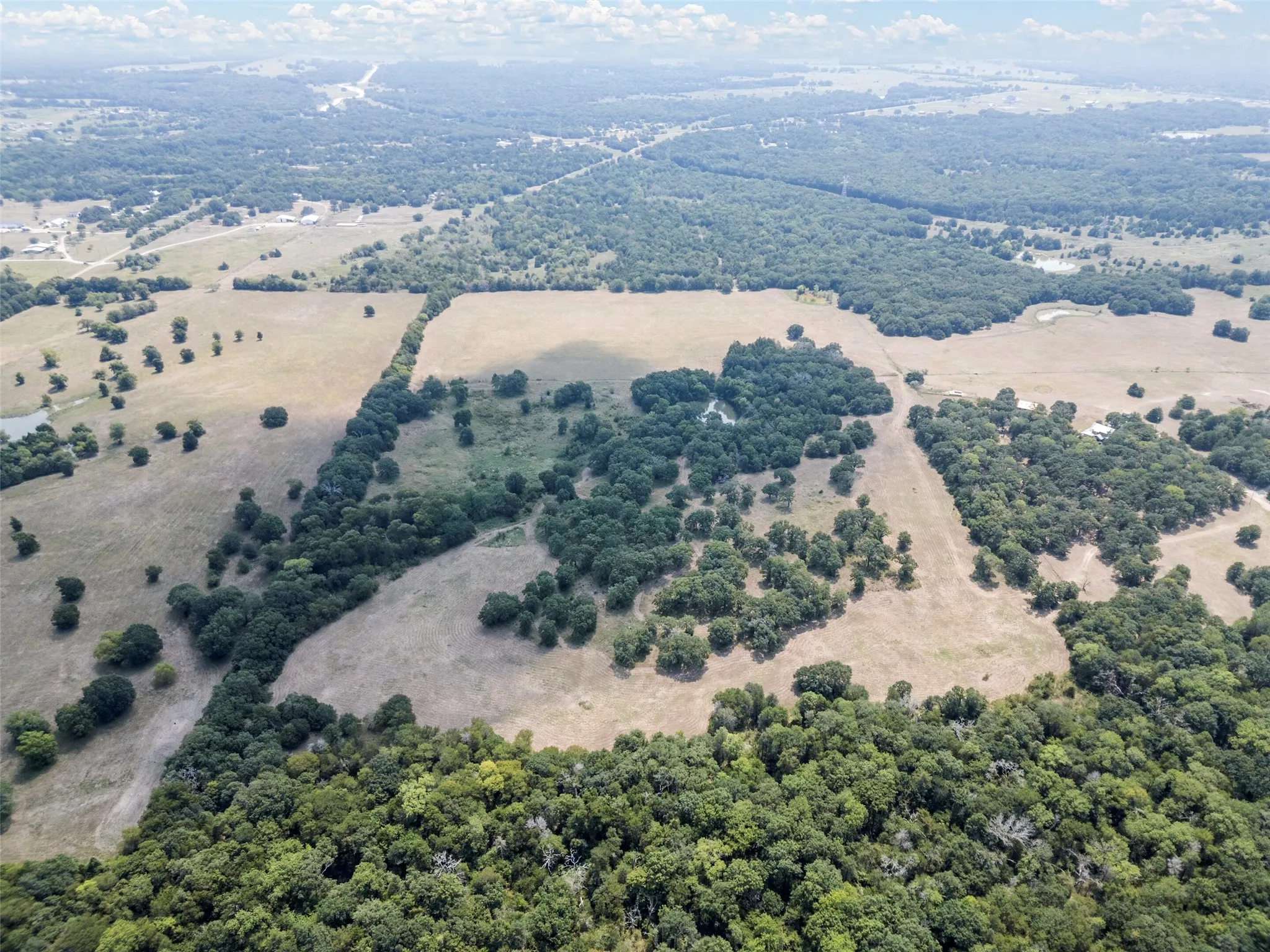 Drone / aerial view of a heavily wooded area