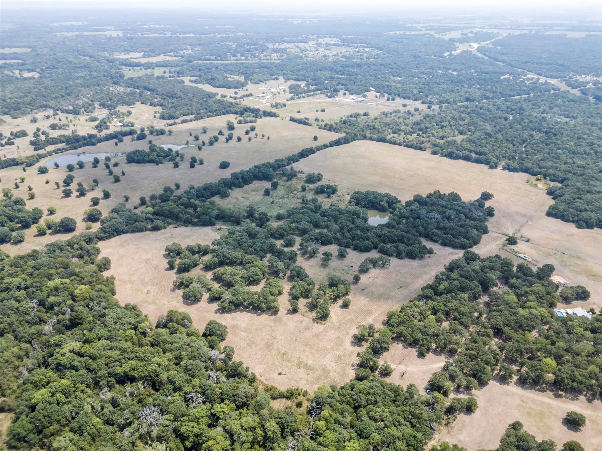 Bird's eye view of a​​‌​​​​‌​​‌‌​‌‌​​​‌‌​‌​‌​‌​​​‌​​ forest