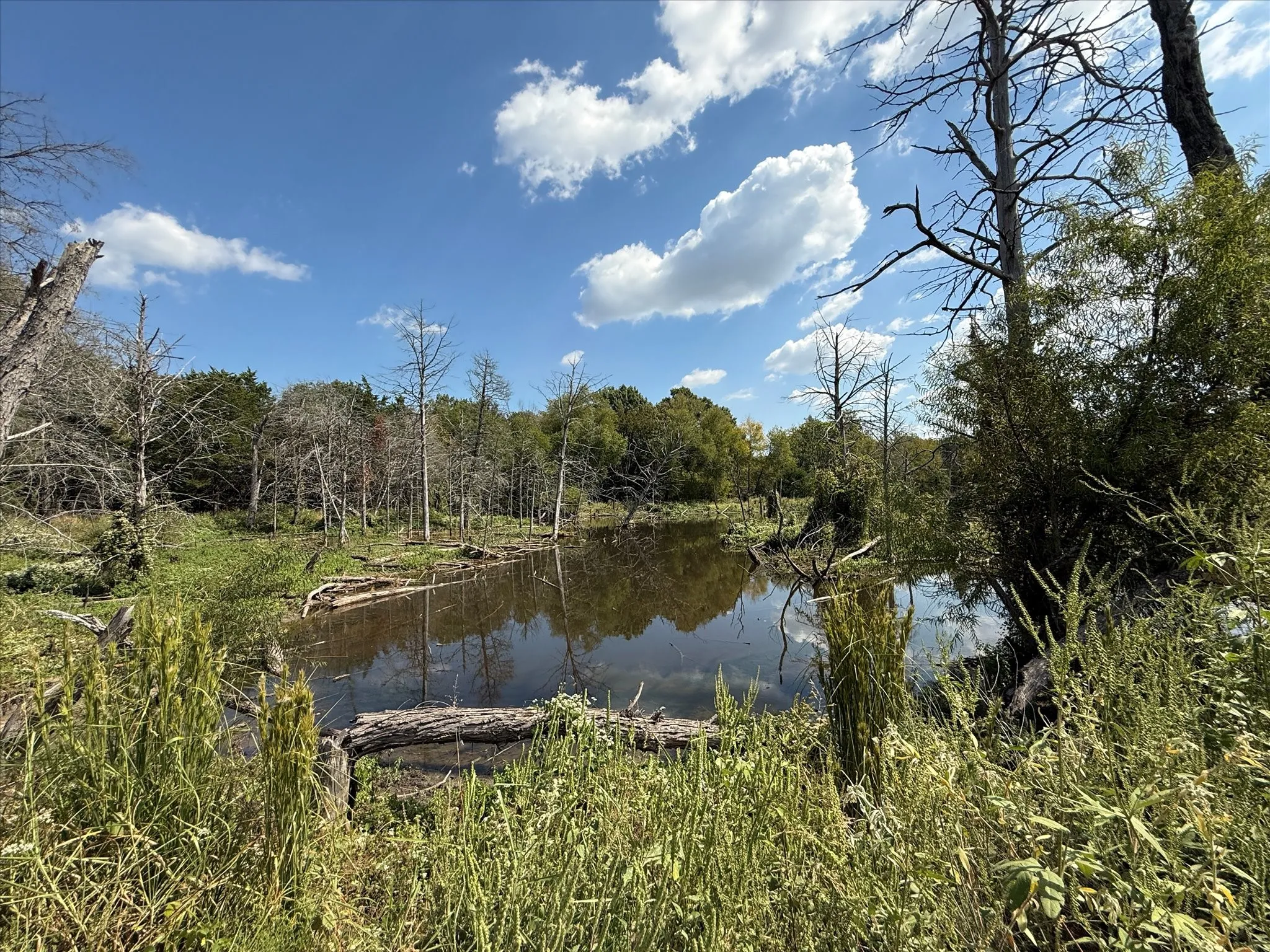 Unimproved Land For Sale in Kaufman County , 0 CR-339, Terrell, Texas 75161, 0, 0, Garage spaces, 0 Sqft, built in 0, mls#21091790, Real Estate Agent in Terrell, Homes For Sale in Kaufman county, Homes For Sale in Terrell, Realtor in Terrell Texas, Real Estate Brokerage Independent Realty Texas, Luminita Cordes Realtor