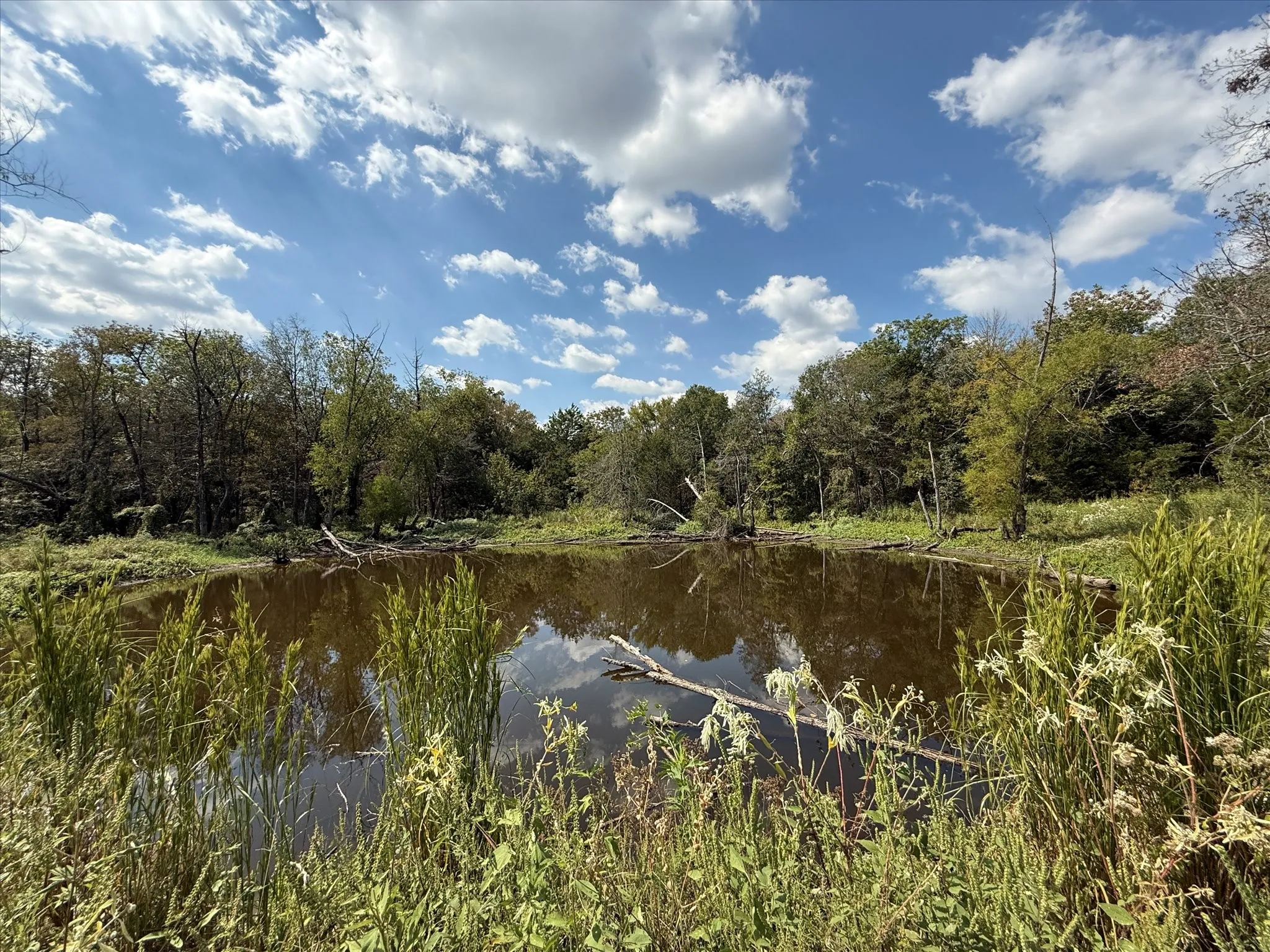 Unimproved Land For Sale in Kaufman County , 0 CR-339, Terrell, Texas 75161, 0, 0, Garage spaces, 0 Sqft, built in 0, mls#21091790, Real Estate Agent in Terrell, Homes For Sale in Kaufman county, Homes For Sale in Terrell, Realtor in Terrell Texas, Real Estate Brokerage Independent Realty Texas, Luminita Cordes Realtor