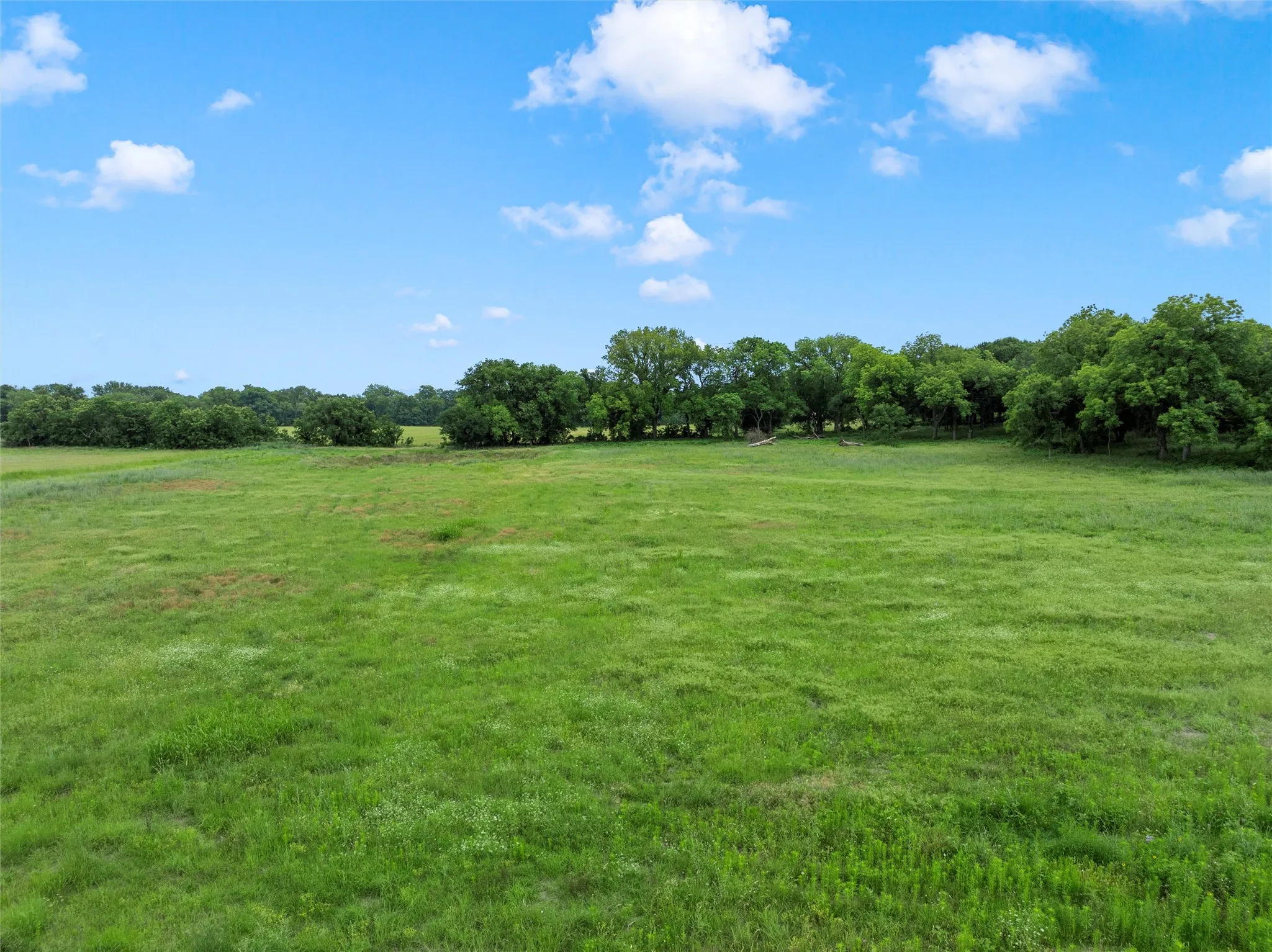 View of wooded area featuring a view of rural / pastoral area