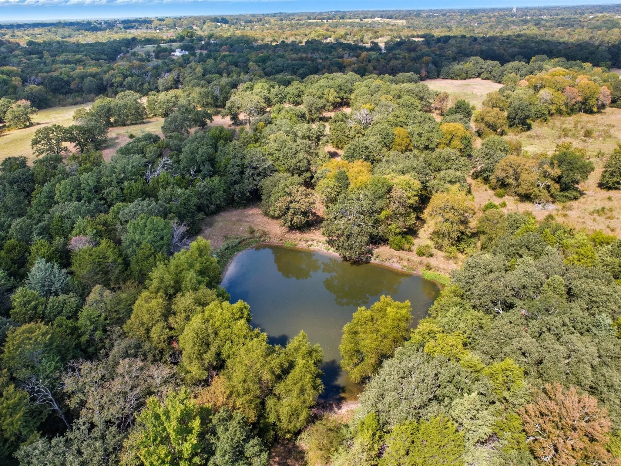 Unimproved Land For Sale in Kaufman County , 16043 County Road-339, Terrell, Texas 75161, 0, 0, Garage spaces, 0 Sqft, built in 0, mls#21091545, Real Estate Agent in Terrell, Homes For Sale in Kaufman county, Homes For Sale in Terrell, Realtor in Terrell Texas, Real Estate Brokerage Independent Realty Texas, Luminita Cordes Realtor