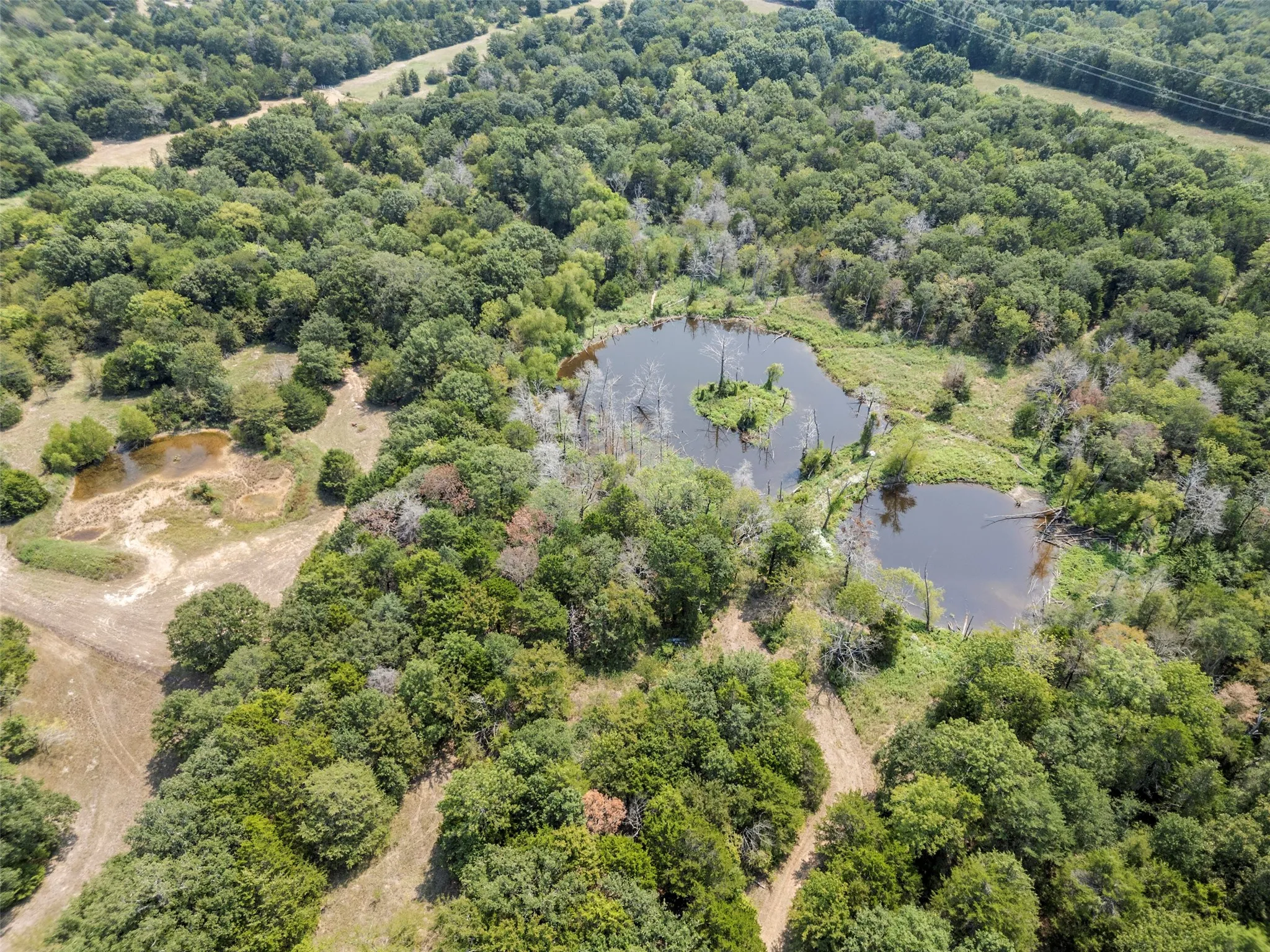 Bird's eye view of a forest and a large body of water