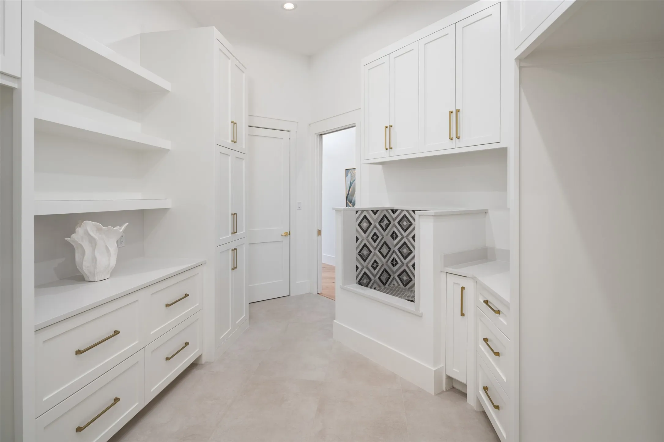 Laundry room with dog shower