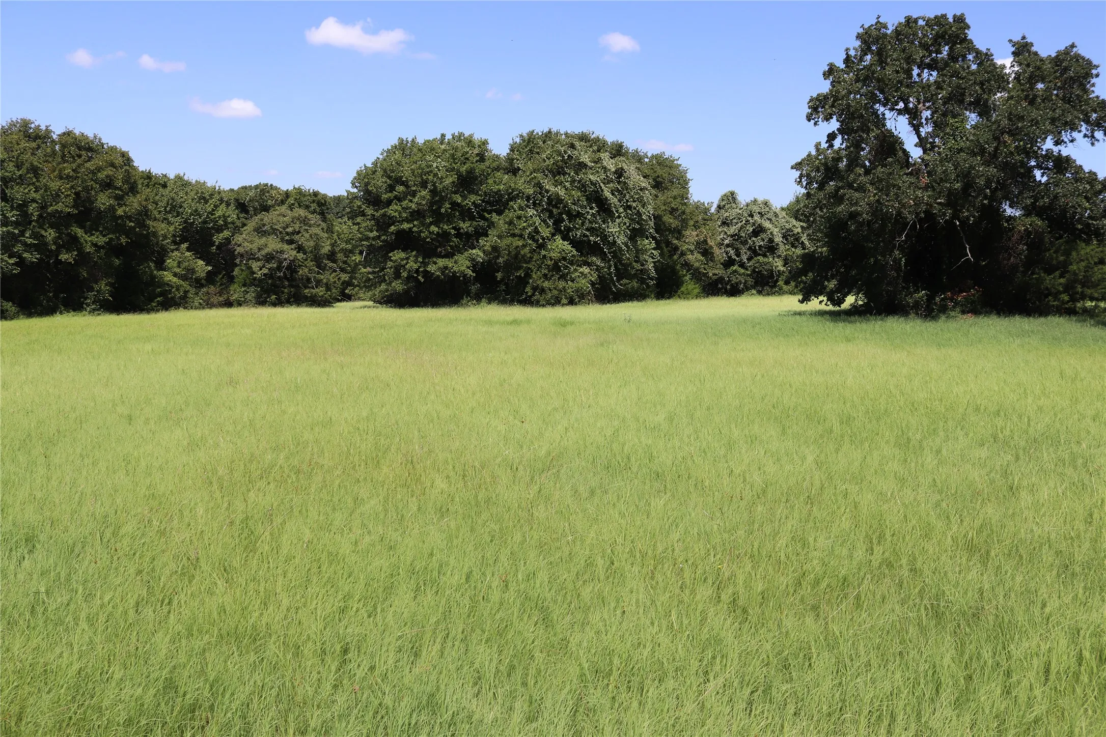 Ranch For Sale in Montague County , 36 ACRES FM 1749, Sunset, Texas 76270, 0, 0, Garage spaces, 0 Sqft, built in 0, Price $504,000, mls#21096227, Real Estate Agent in Sunset, Homes For Sale in Montague county, Homes For Sale in Sunset, Realtor in Sunset Texas, Real Estate Brokerage Independent Realty Texas, Luminita Cordes Realtor