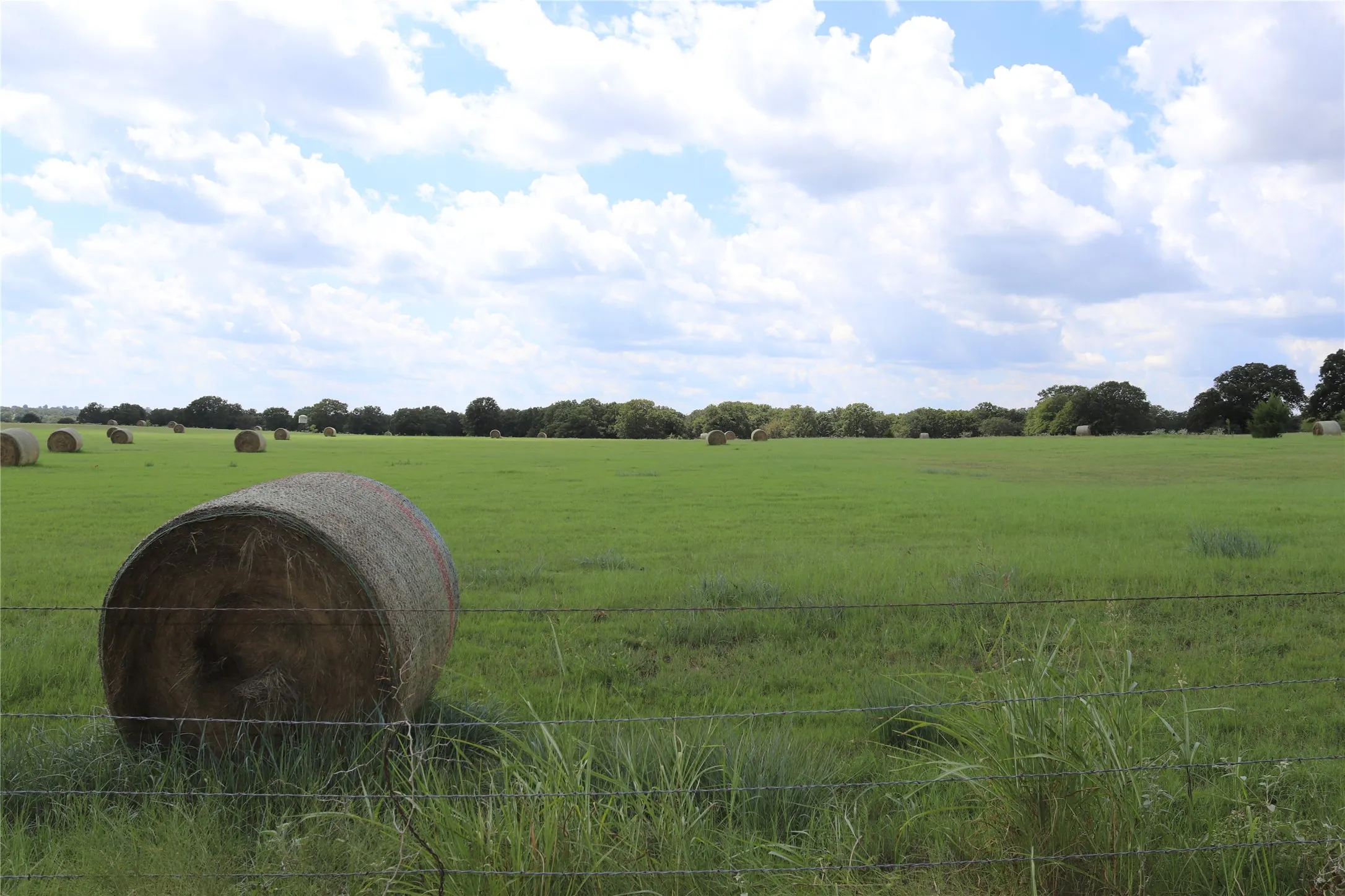 Ranch For Sale in Montague County , 36 ACRES FM 1749, Sunset, Texas 76270, 0, 0, Garage spaces, 0 Sqft, built in 0, Price $504,000, mls#21096227, Real Estate Agent in Sunset, Homes For Sale in Montague county, Homes For Sale in Sunset, Realtor in Sunset Texas, Real Estate Brokerage Independent Realty Texas, Luminita Cordes Realtor