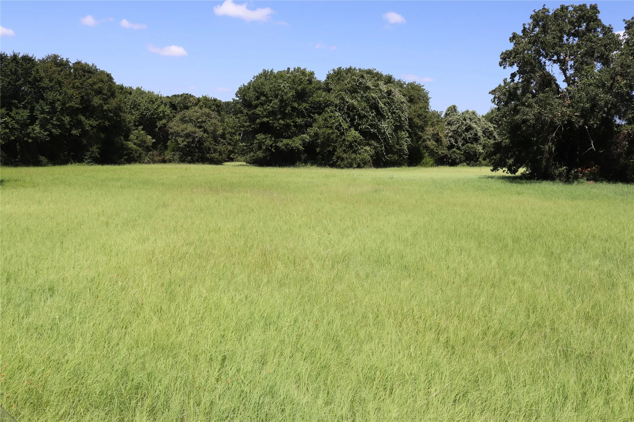 Ranch For Sale in Montague County , 36 ACRES FM 1749, Sunset, Texas 76270, 0, 0, Garage spaces, 0 Sqft, built in 0, Price $504,000, mls#21096227, Real Estate Agent in Sunset, Homes For Sale in Montague county, Homes For Sale in Sunset, Realtor in Sunset Texas, Real Estate Brokerage Independent Realty Texas, Luminita Cordes Realtor