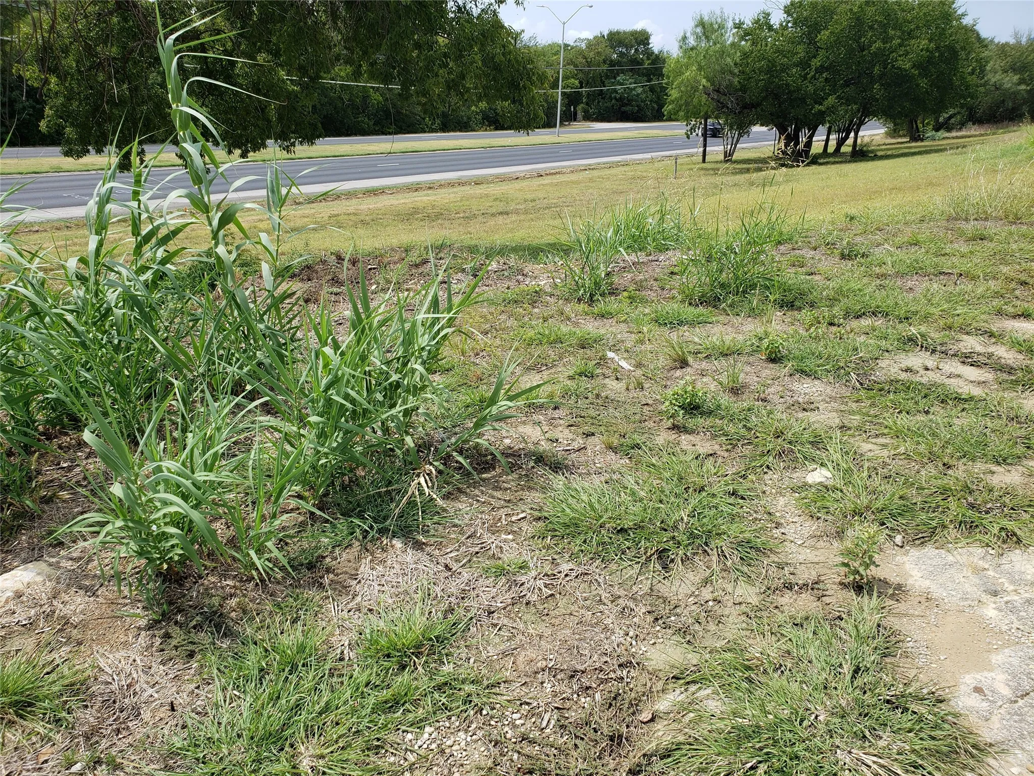 Improved Land For Sale in Tarrant County , 2900 Jacksboro Highway, Fort Worth, Texas 76114, 0, 0, Garage spaces, 0 Sqft, built in 0, mls#21096067, Real Estate Agent in Fort Worth, Homes For Sale in Tarrant county, Homes For Sale in Fort Worth, Realtor in Fort Worth Texas, Real Estate Brokerage Independent Realty Texas, Luminita Cordes Realtor