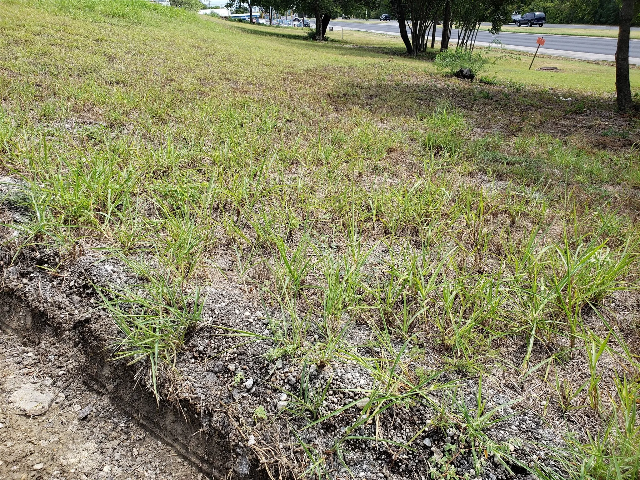 Improved Land For Sale in Tarrant County , 2900 Jacksboro Highway, Fort Worth, Texas 76114, 0, 0, Garage spaces, 0 Sqft, built in 0, mls#21096067, Real Estate Agent in Fort Worth, Homes For Sale in Tarrant county, Homes For Sale in Fort Worth, Realtor in Fort Worth Texas, Real Estate Brokerage Independent Realty Texas, Luminita Cordes Realtor