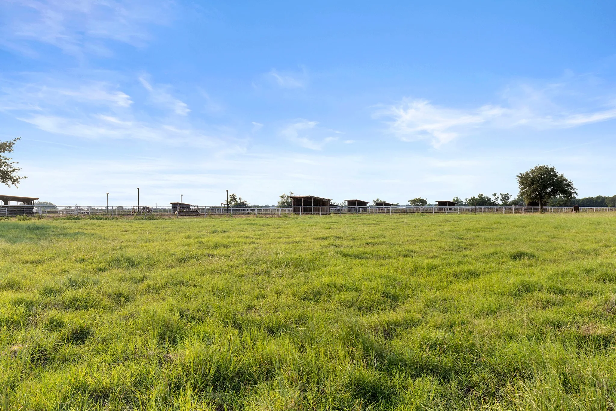 View of yard with a view of rural / pastoral area