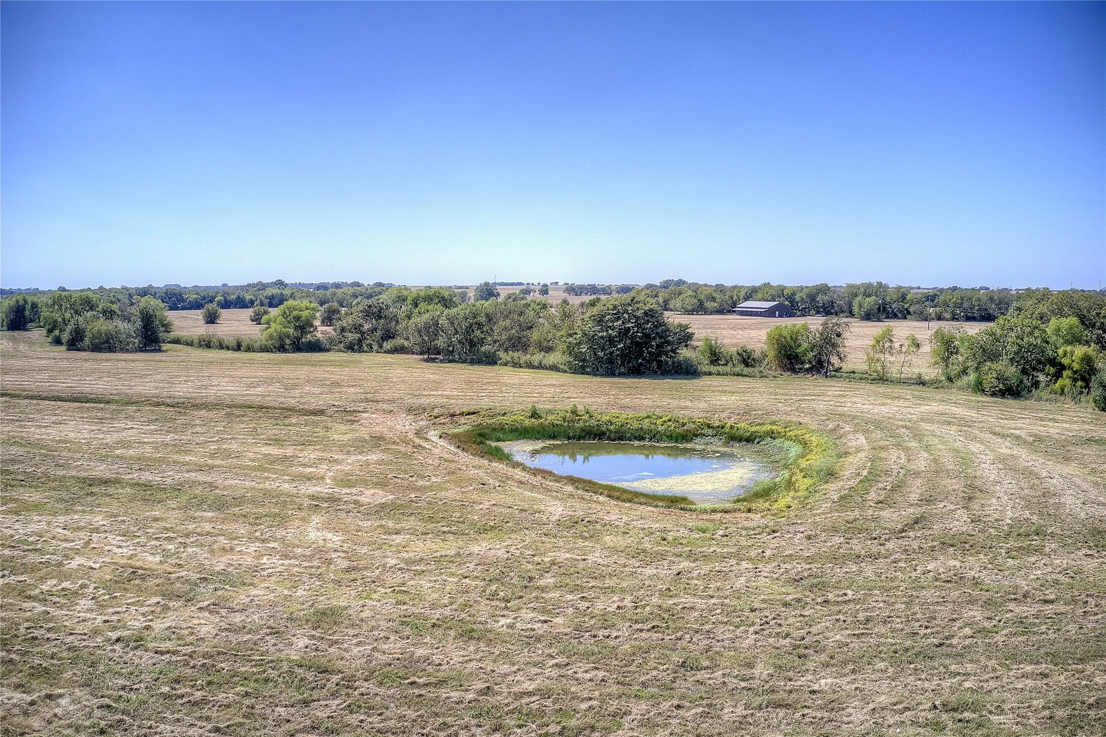Unimproved Land For Sale in Fannin County , 1184 Fm-816 - Lot 2, Wolfe City, Texas 75496, 0, 0, Garage spaces, 0 Sqft, built in 2019, Price $184,990, mls#21096550, Real Estate Agent in Wolfe City, Homes For Sale in Fannin county, Homes For Sale in Wolfe City, Realtor in Wolfe City Texas, Real Estate Brokerage Independent Realty Texas, Luminita Cordes Realtor