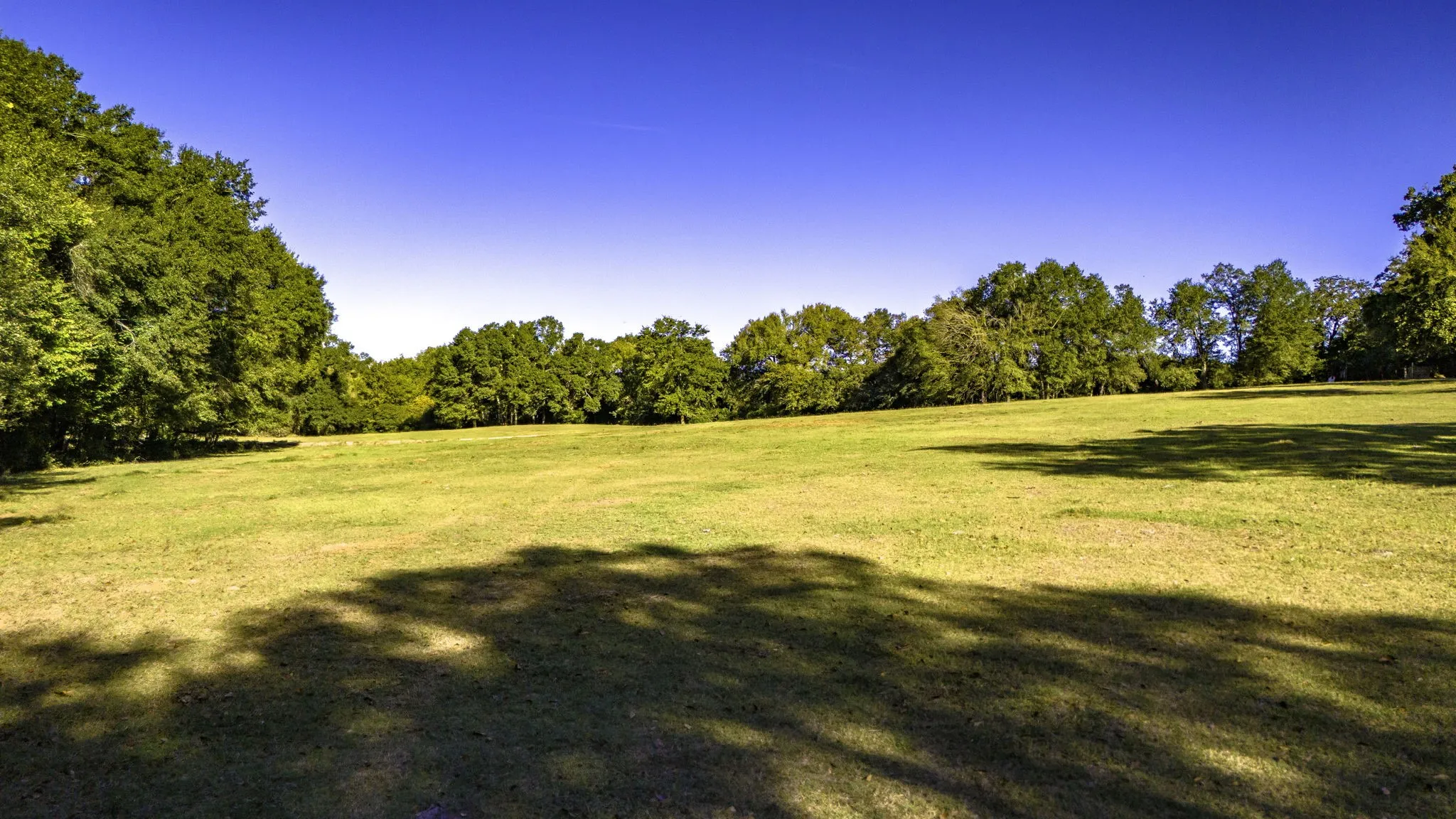 Unimproved Land For Sale in Freestone County , TBD Interstate 45, Fairfield, Texas 75840, 0, 0, Garage spaces, 0 Sqft, built in 0, Price $1,100,000, mls#21096293, Real Estate Agent in Fairfield, Homes For Sale in Freestone county, Homes For Sale in Fairfield, Realtor in Fairfield Texas, Real Estate Brokerage Independent Realty Texas, Luminita Cordes Realtor