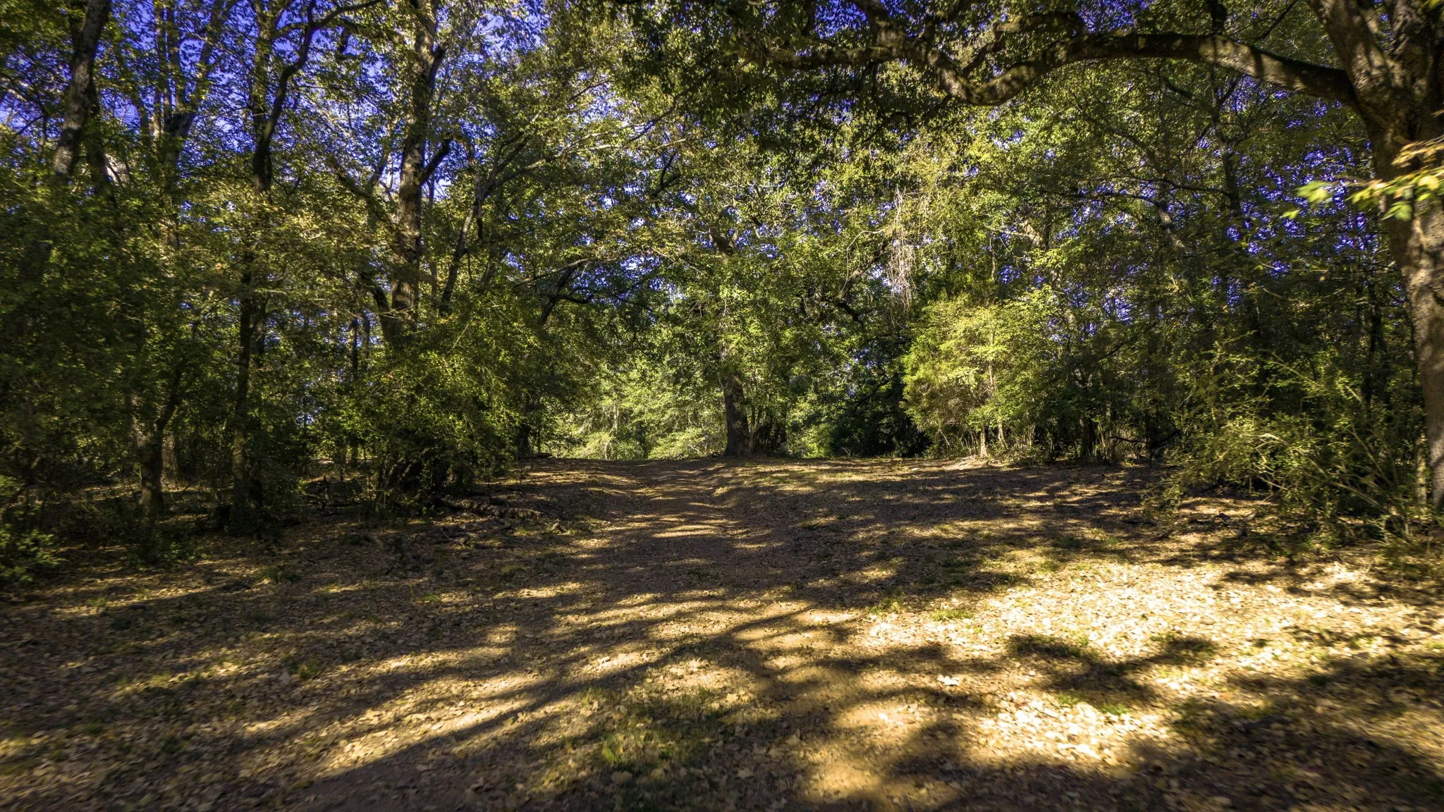 Unimproved Land For Sale in Freestone County , TBD Interstate 45, Fairfield, Texas 75840, 0, 0, Garage spaces, 0 Sqft, built in 0, Price $1,100,000, mls#21096293, Real Estate Agent in Fairfield, Homes For Sale in Freestone county, Homes For Sale in Fairfield, Realtor in Fairfield Texas, Real Estate Brokerage Independent Realty Texas, Luminita Cordes Realtor