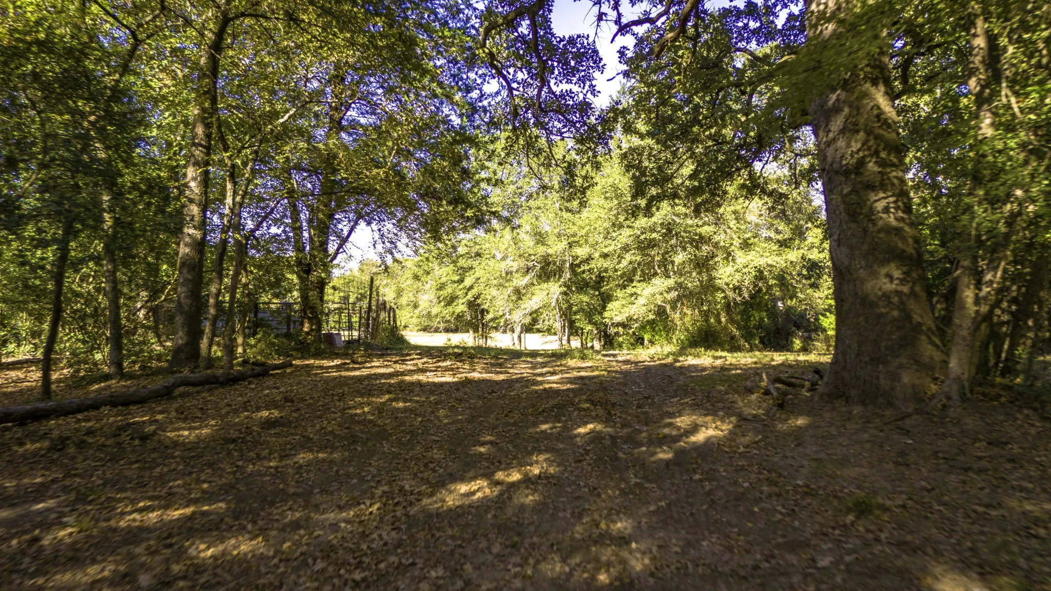 Unimproved Land For Sale in Freestone County , TBD Interstate 45, Fairfield, Texas 75840, 0, 0, Garage spaces, 0 Sqft, built in 0, Price $1,100,000, mls#21096293, Real Estate Agent in Fairfield, Homes For Sale in Freestone county, Homes For Sale in Fairfield, Realtor in Fairfield Texas, Real Estate Brokerage Independent Realty Texas, Luminita Cordes Realtor