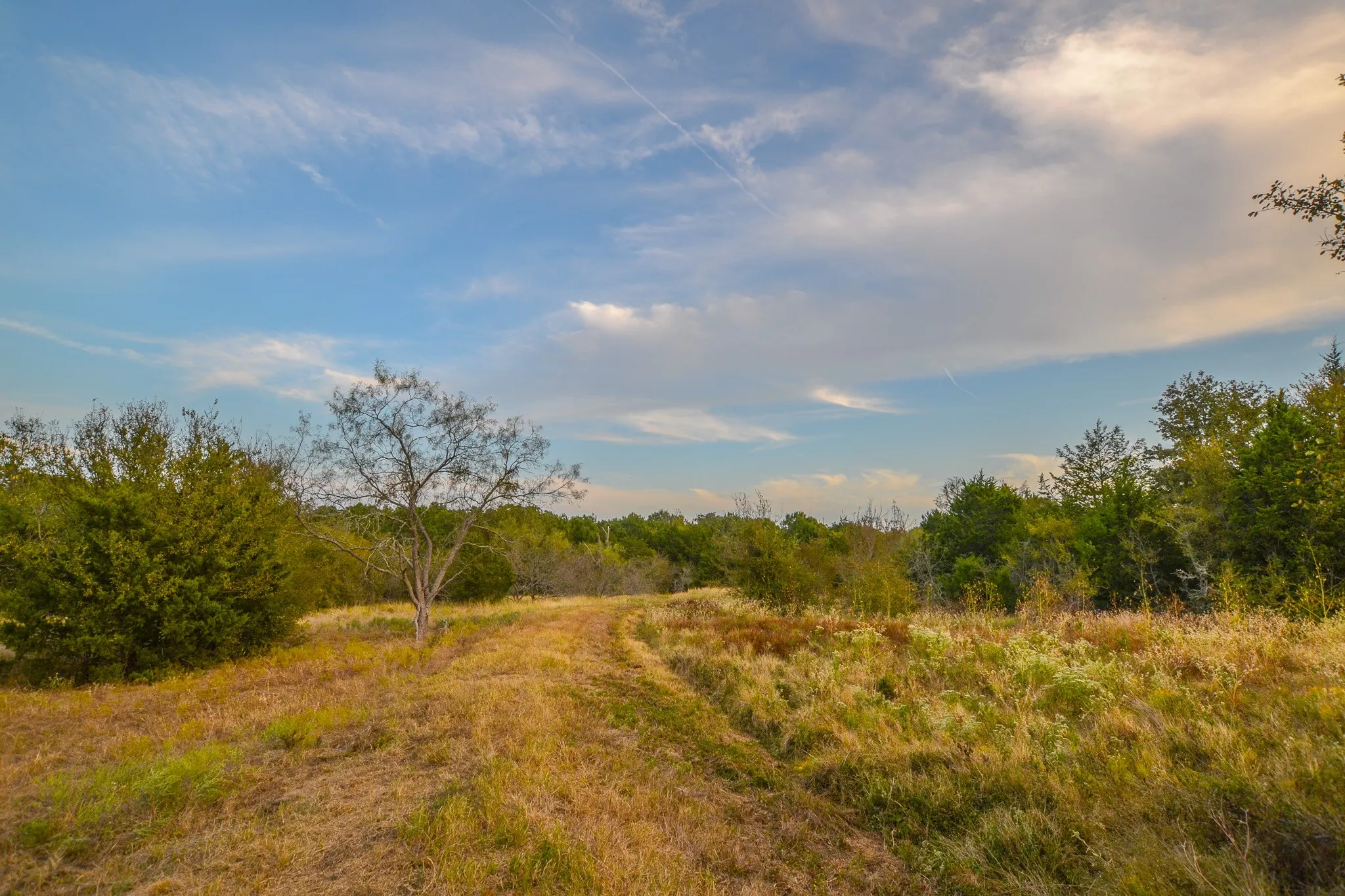 Ranch For Sale in Navarro County , 0 NE 3130, Kerens, Texas 75144, 0, 0, Garage spaces, 0 Sqft, built in 0, Price $885,500, mls#21097043, Real Estate Agent in Kerens, Homes For Sale in Navarro county, Homes For Sale in Kerens, Realtor in Kerens Texas, Real Estate Brokerage Independent Realty Texas, Luminita Cordes Realtor