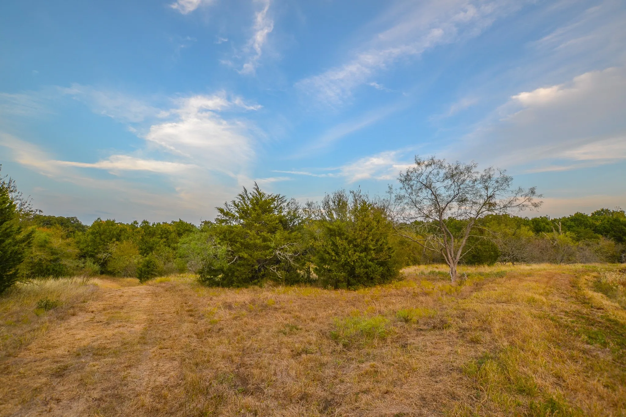 Ranch For Sale in Navarro County , 0 NE 3130, Kerens, Texas 75144, 0, 0, Garage spaces, 0 Sqft, built in 0, Price $885,500, mls#21097043, Real Estate Agent in Kerens, Homes For Sale in Navarro county, Homes For Sale in Kerens, Realtor in Kerens Texas, Real Estate Brokerage Independent Realty Texas, Luminita Cordes Realtor