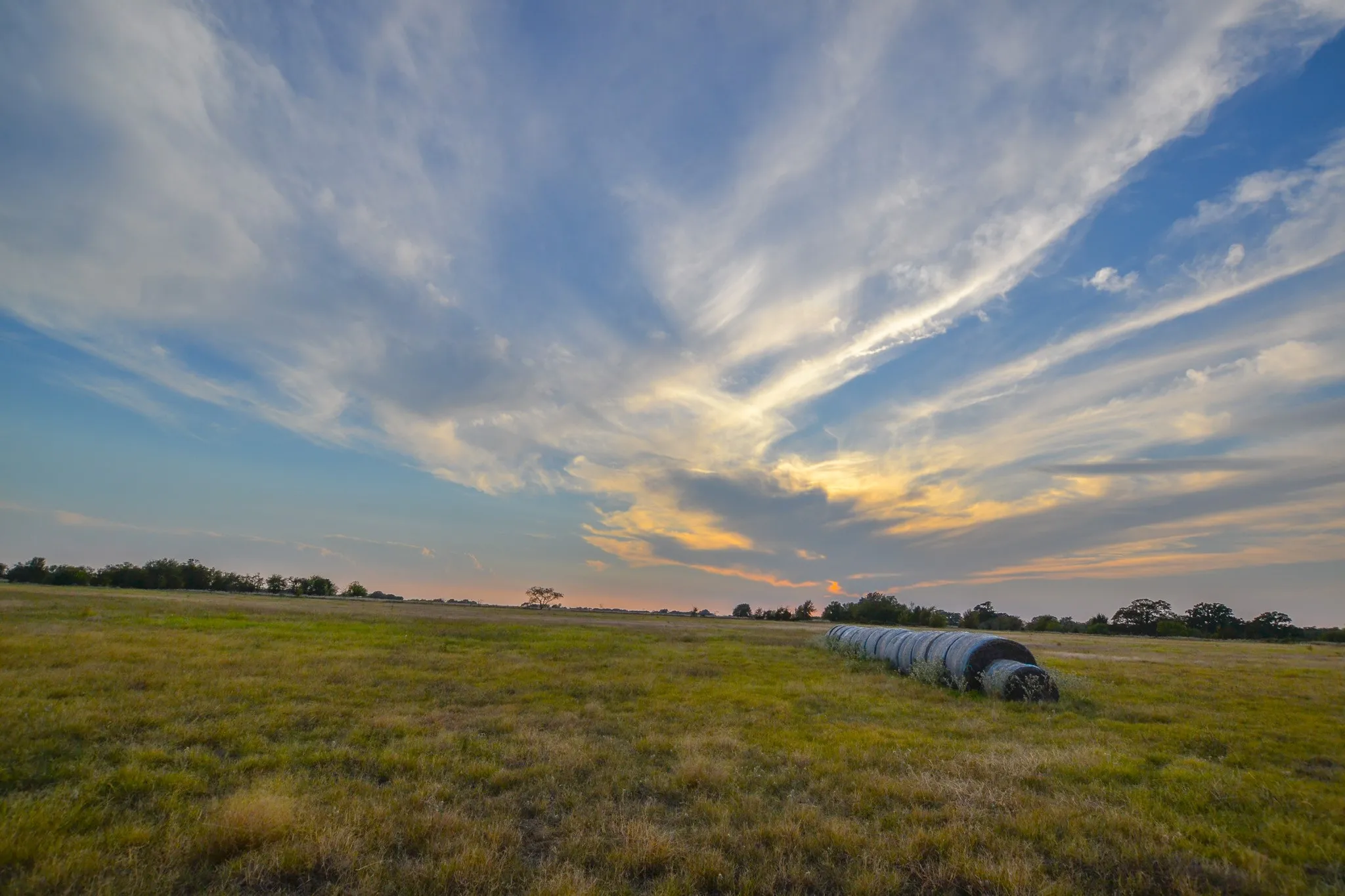 Ranch For Sale in Navarro County , 0 NE 3130, Kerens, Texas 75144, 0, 0, Garage spaces, 0 Sqft, built in 0, Price $885,500, mls#21097043, Real Estate Agent in Kerens, Homes For Sale in Navarro county, Homes For Sale in Kerens, Realtor in Kerens Texas, Real Estate Brokerage Independent Realty Texas, Luminita Cordes Realtor