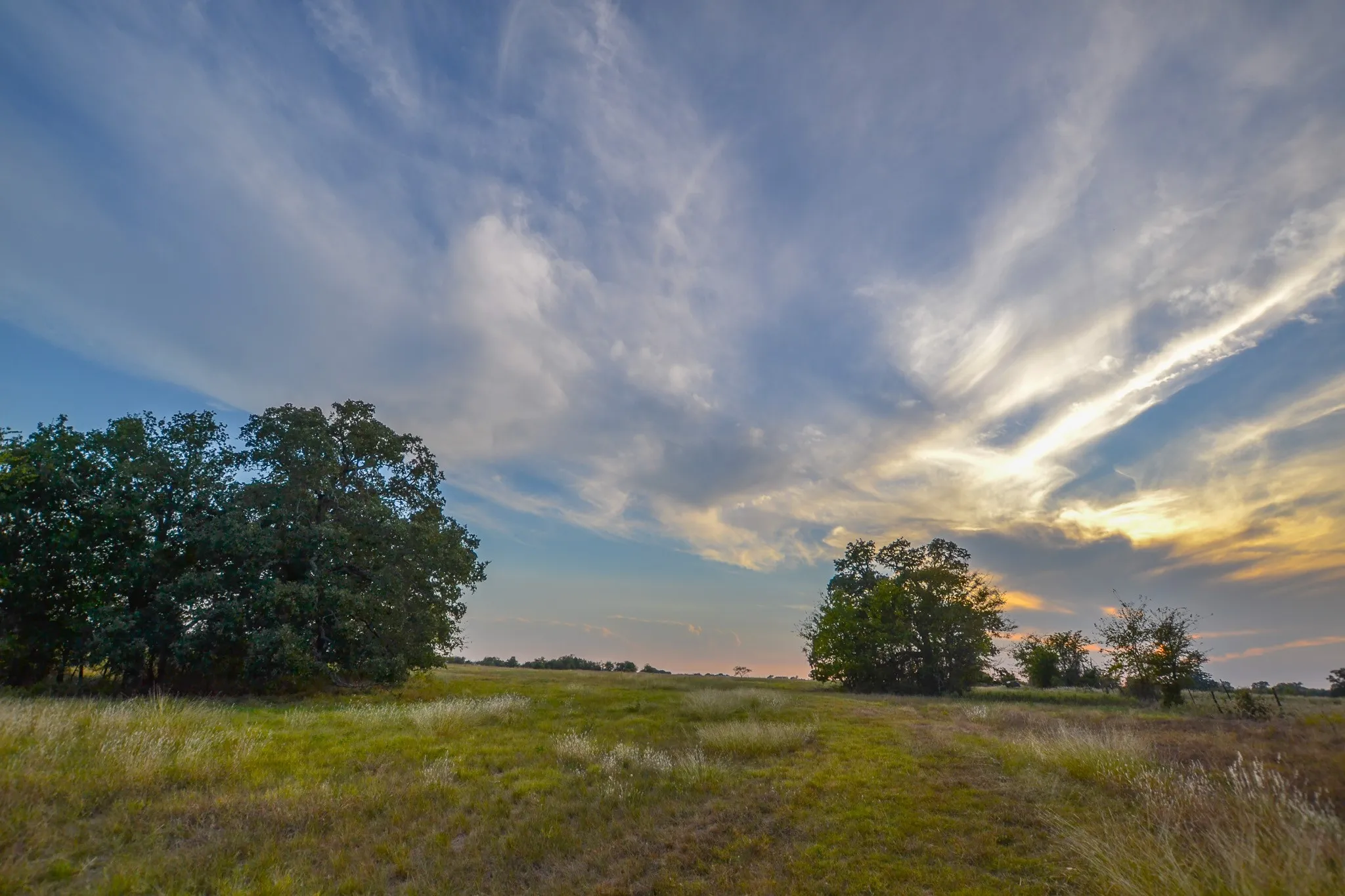 Ranch For Sale in Navarro County , 0 NE 3130, Kerens, Texas 75144, 0, 0, Garage spaces, 0 Sqft, built in 0, Price $885,500, mls#21097043, Real Estate Agent in Kerens, Homes For Sale in Navarro county, Homes For Sale in Kerens, Realtor in Kerens Texas, Real Estate Brokerage Independent Realty Texas, Luminita Cordes Realtor